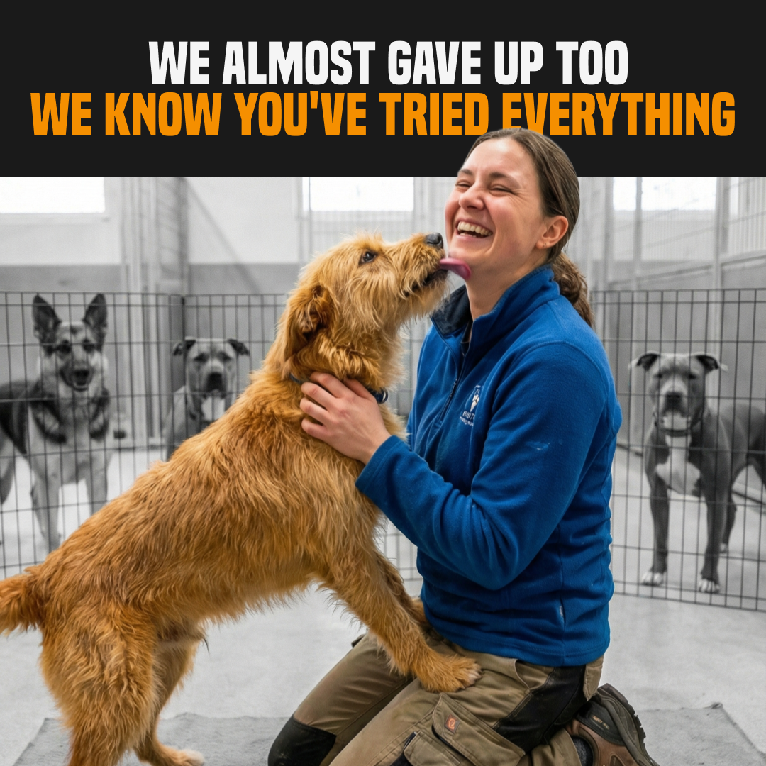 PuppyPad Facebook ad