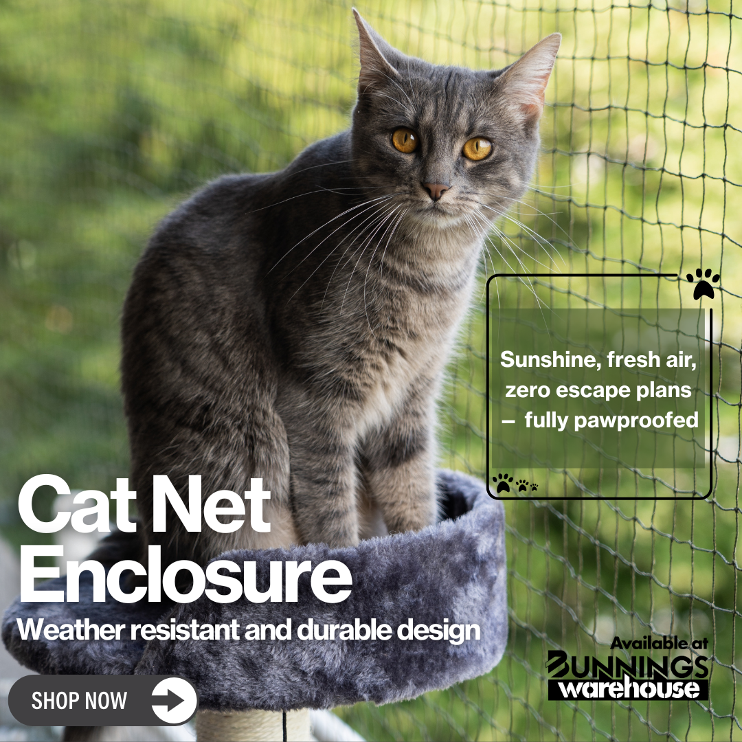 RapidProducts Facebook ad: Rapid Cat Nets Enclosure