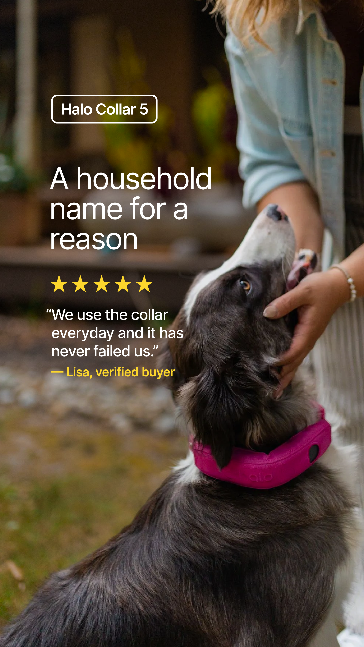 Halo Collar Facebook ad