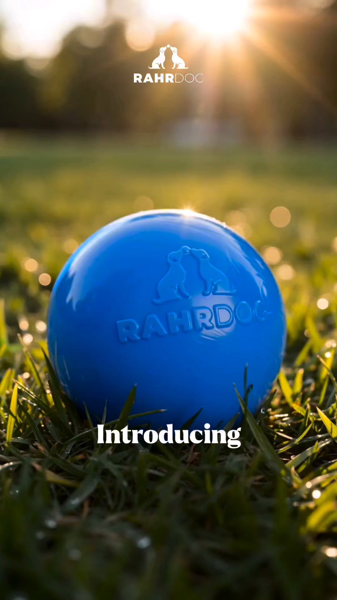 Rahr Dog Facebook ad: The Last Dog Ball You'll Ever Buy