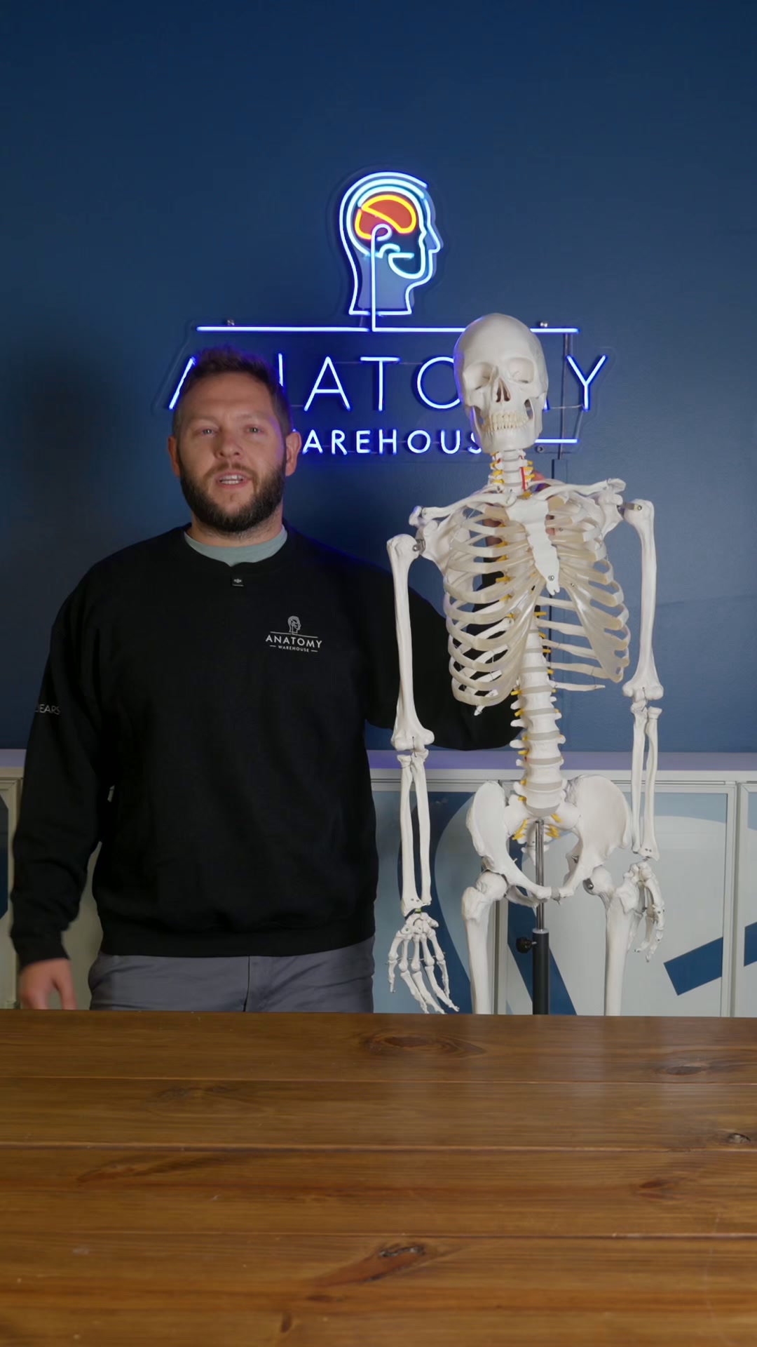 Anatomy Warehouse Facebook ad from Sep 14, 2026