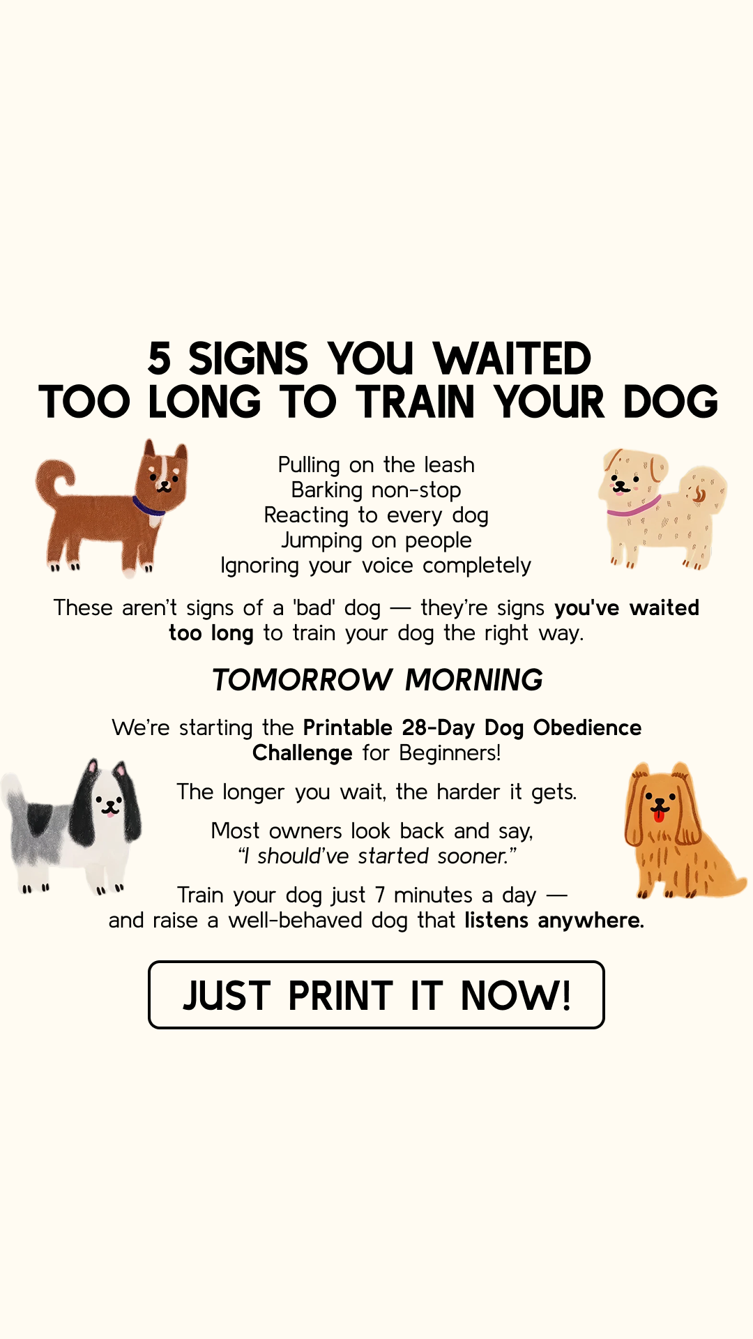 28 Day Dog Obedience Challenge Facebook ad
