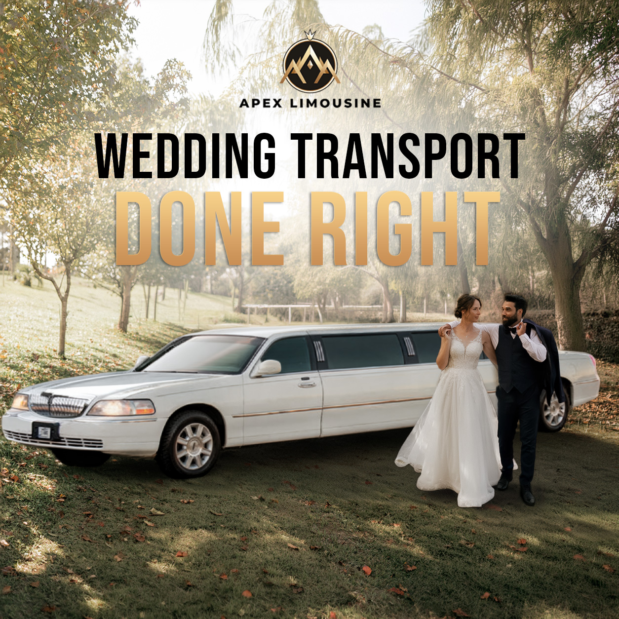 Apex Limousine & Charter Services Facebook ad