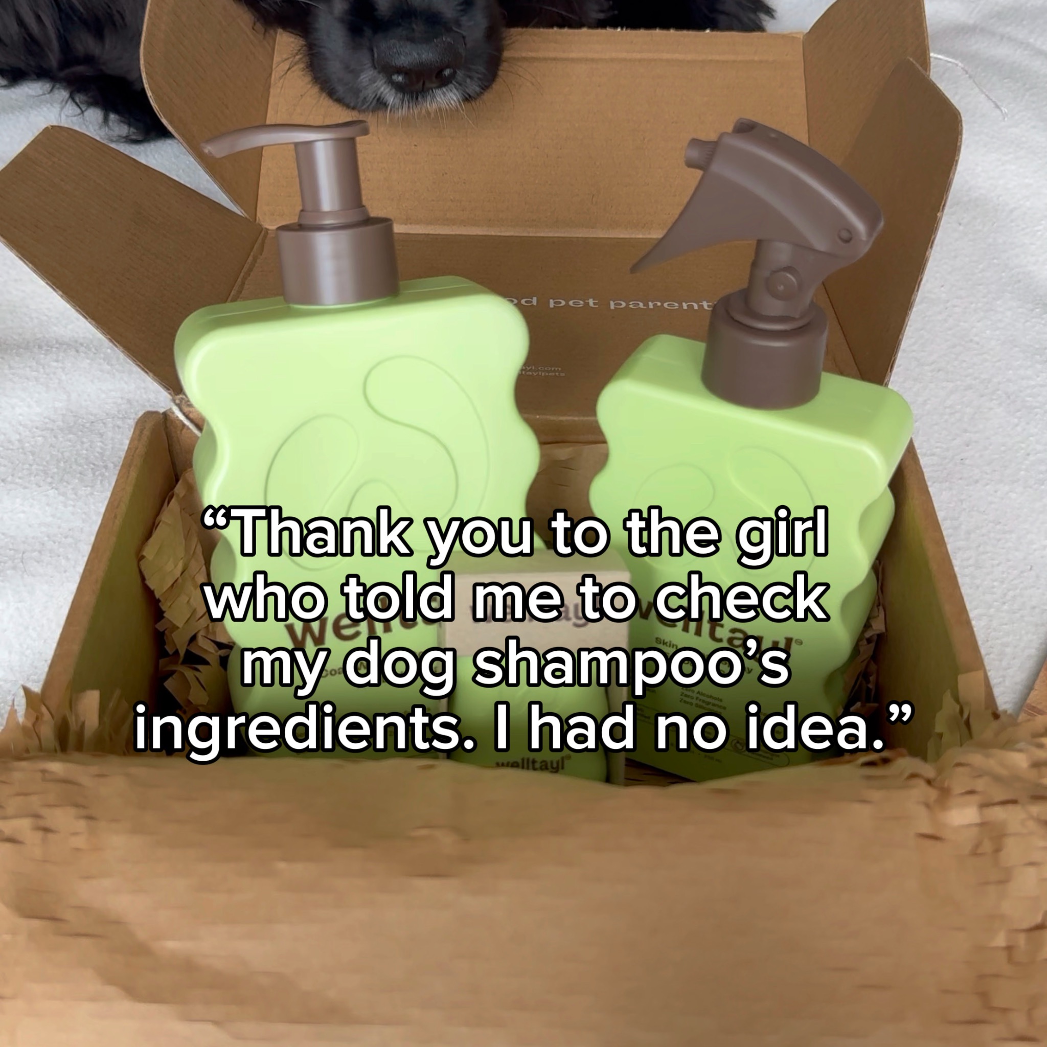 Welltayl Pets Facebook ad: Most dog shampoos strip the skin barrier. Ours rebuild it.