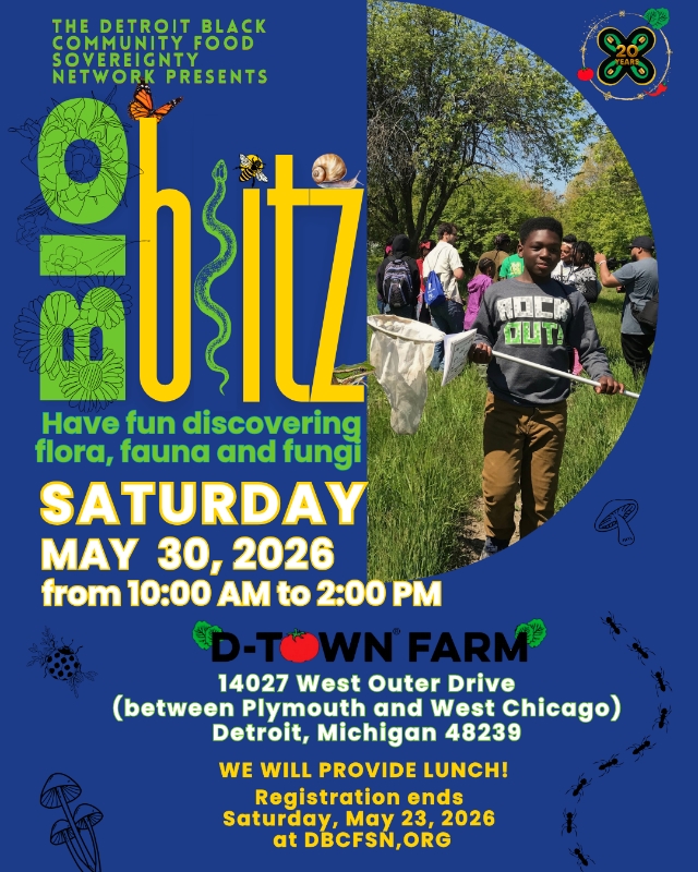 Detroit Black Community Food Sovereignty Network Facebook ad