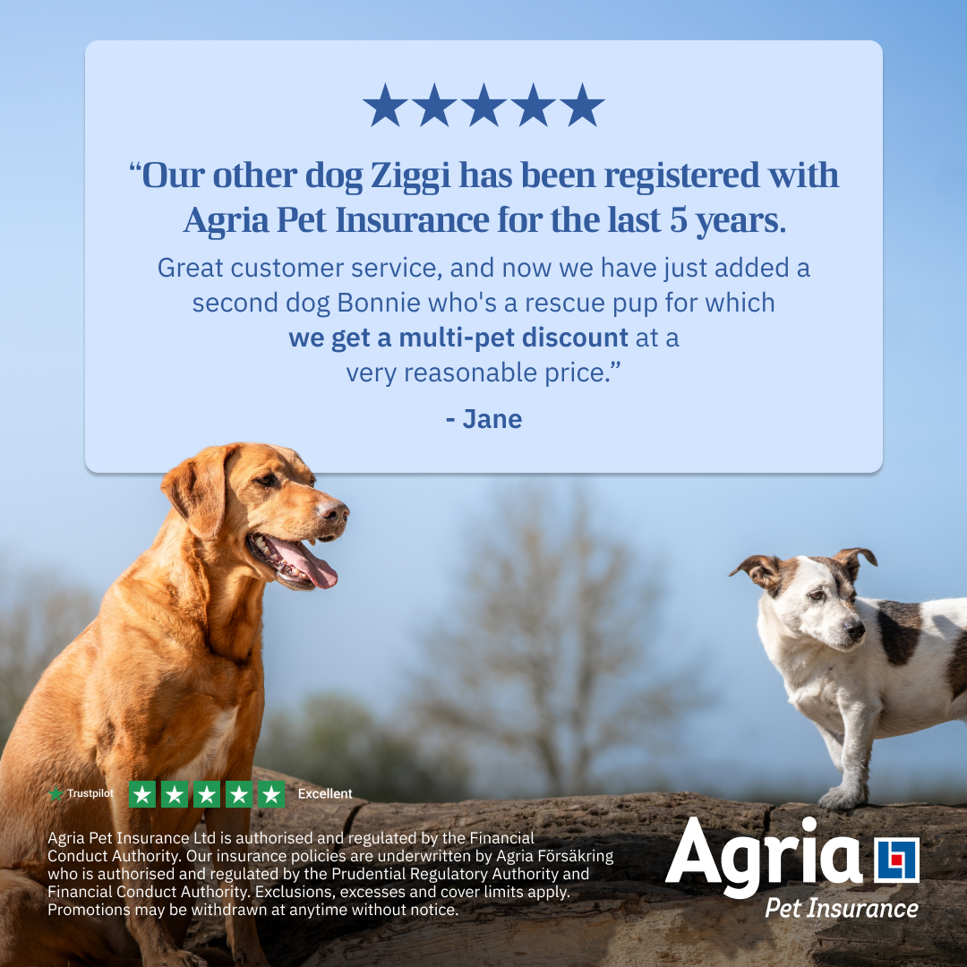 Agria Pet Insurance Facebook ad