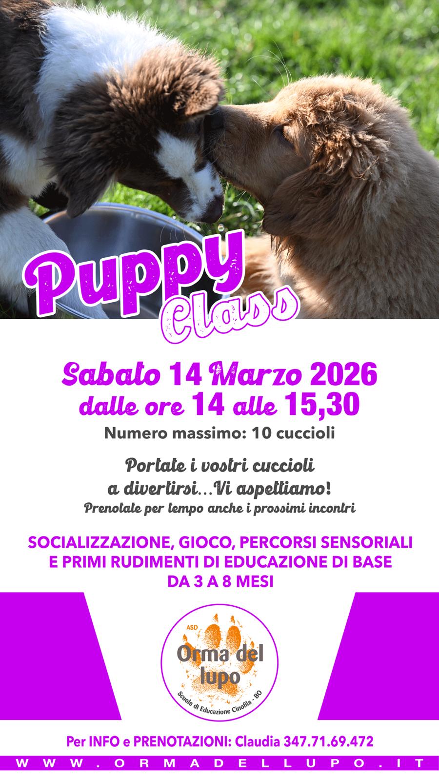 ASD Orma Del Lupo Facebook ad: ๐๐ ๐๐ฎ๐ฉ๐ฉ๐ฒ ๐๐ฅ๐๐ฌ๐ฌ ๐๐ข MARZO รจ ๐๐ฅ๐ฅ๐ ๐ฉ๐จ๐ซ๐ญ๐โฆ