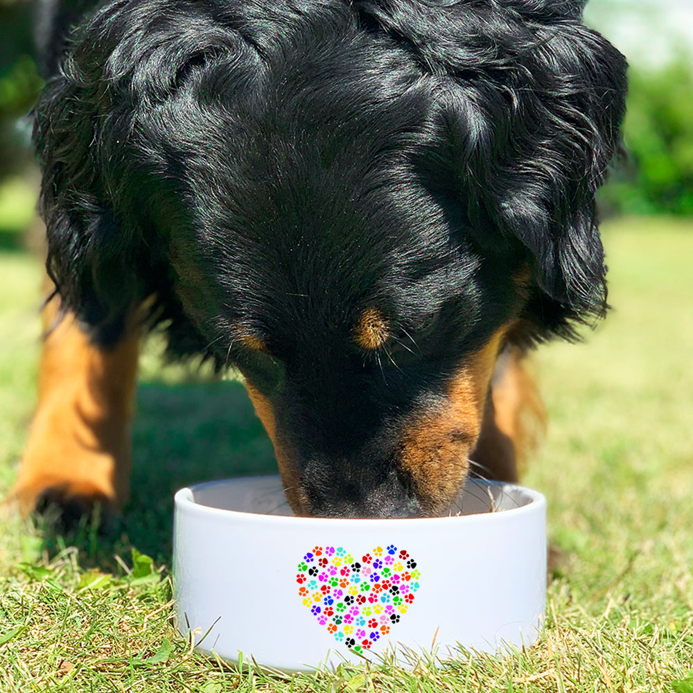 Cadouri Facebook ad: mit Liebe handgefertigtes Hundezubehör für Hund & Halter