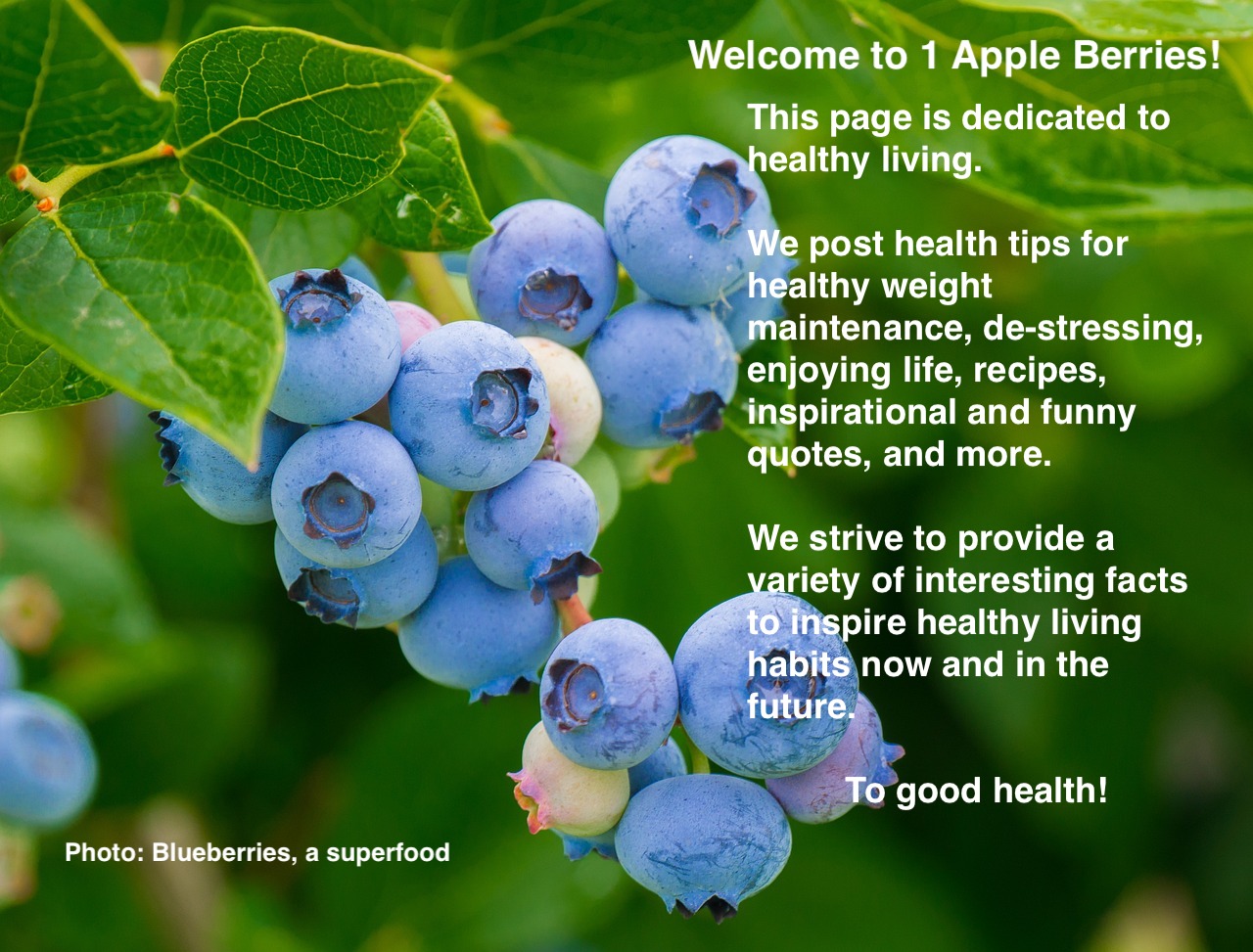 1 Apple Berries Facebook ad: Welcome to 1 Apple Berries!
