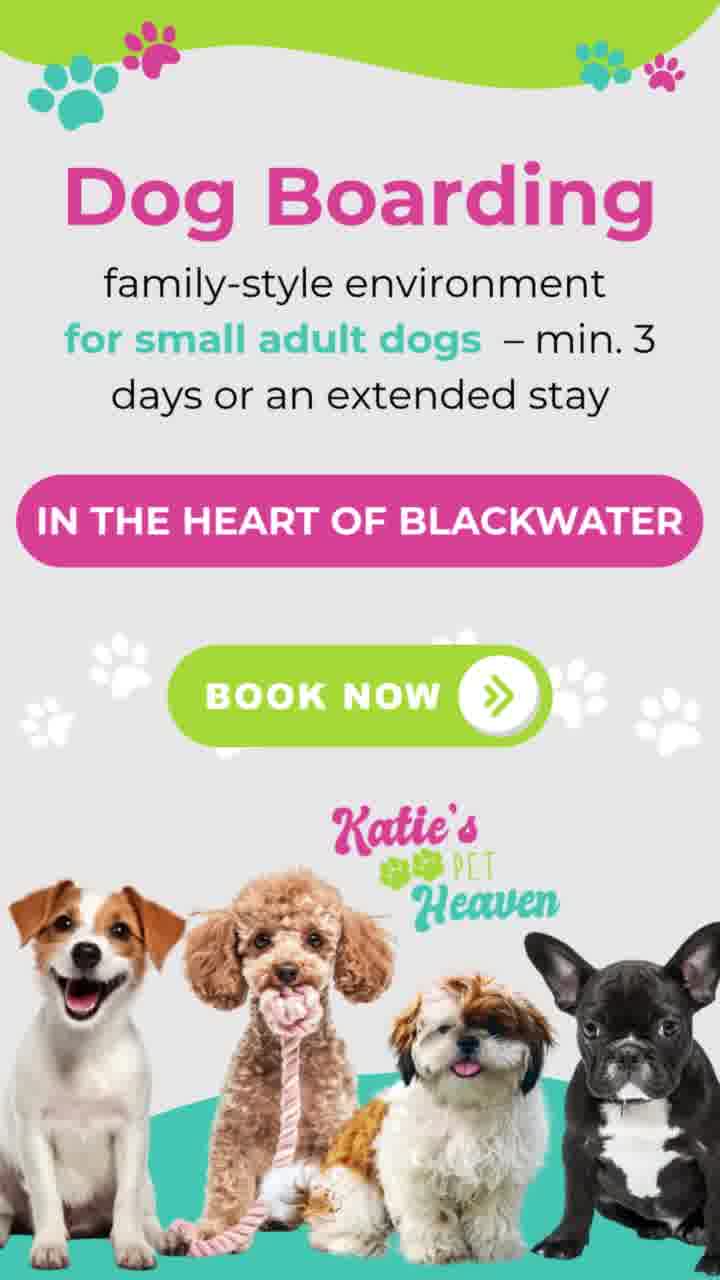 Katie's Pet Heaven Facebook ad: Dog Boarding