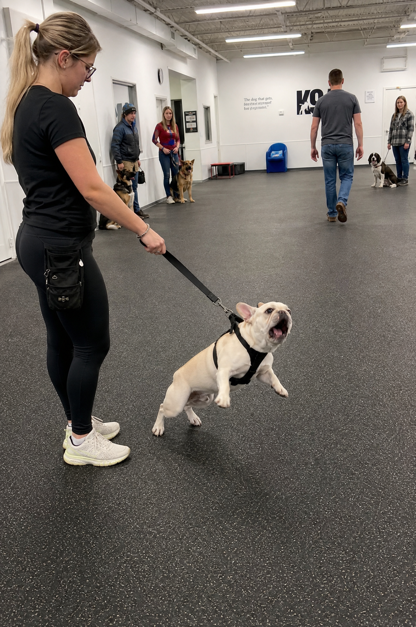 Dog Training Tips & Support Facebook ad