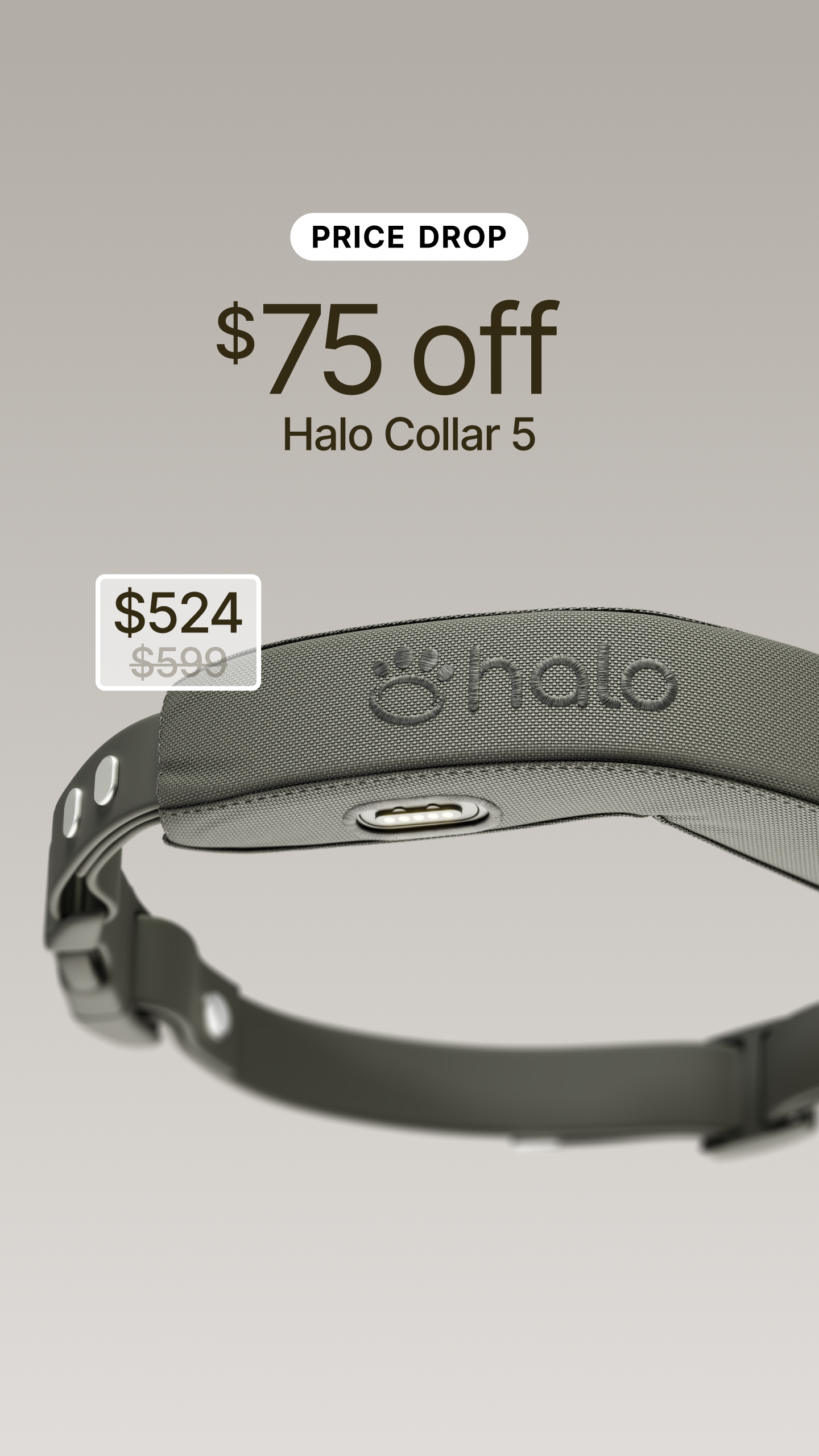 Halo Collar Facebook ad