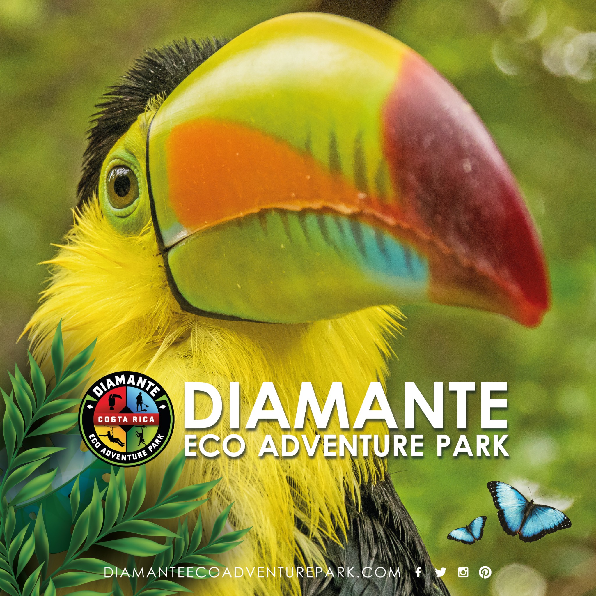 Diamante Eco Adventure Park Facebook ad