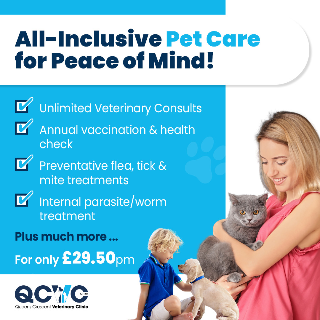 Queens Crescent Veterinary Clinic Facebook ad