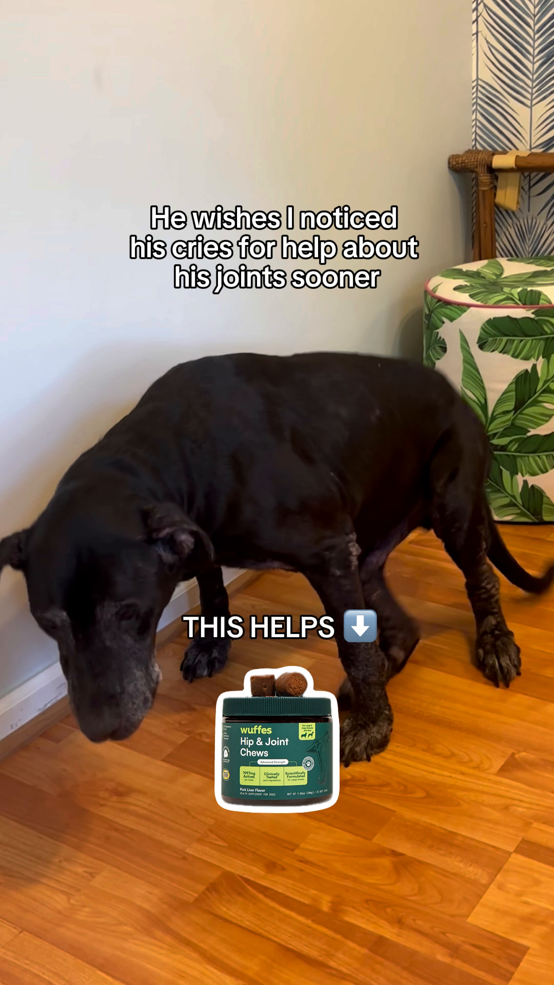 Wuffes Facebook ad