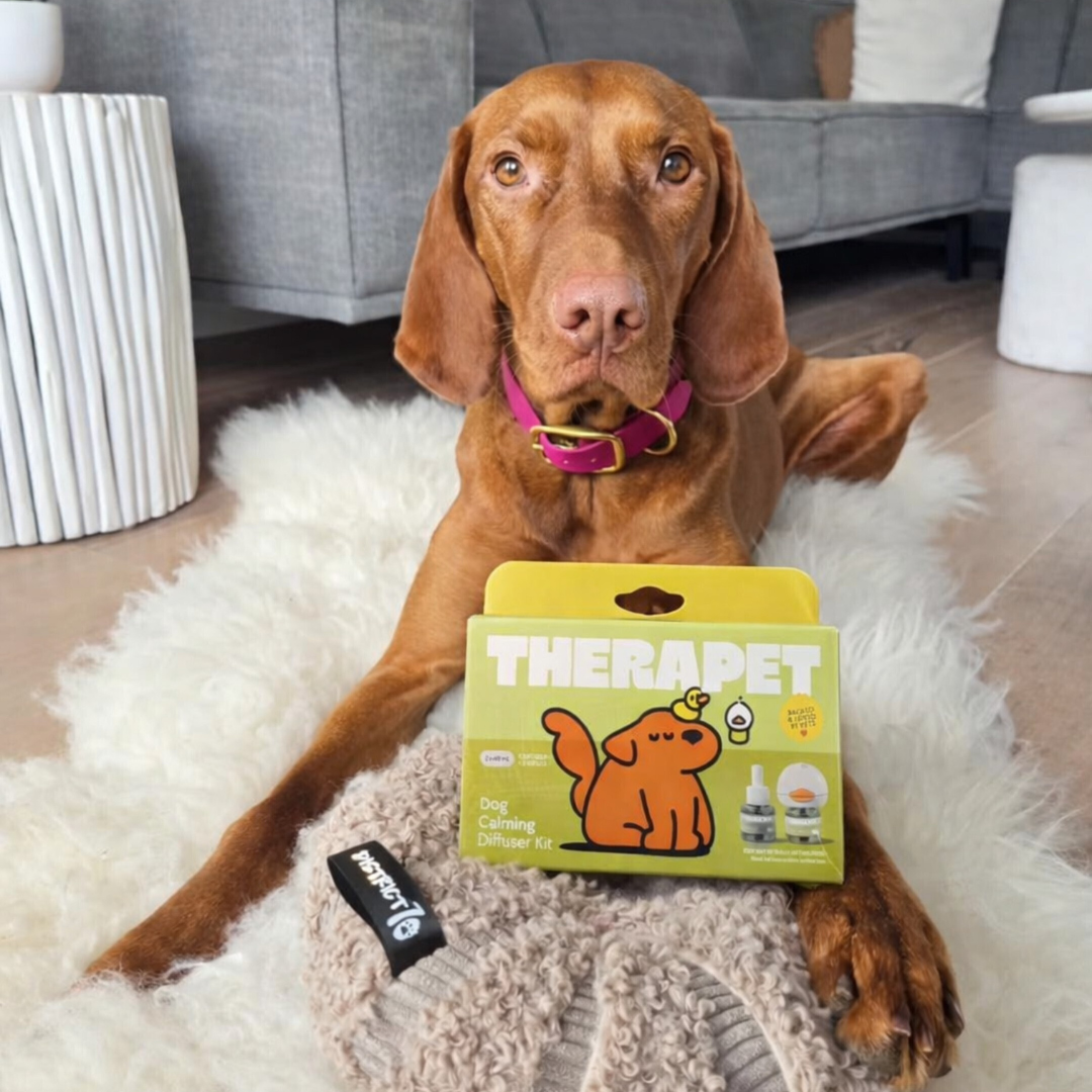 TheraPet Facebook ad