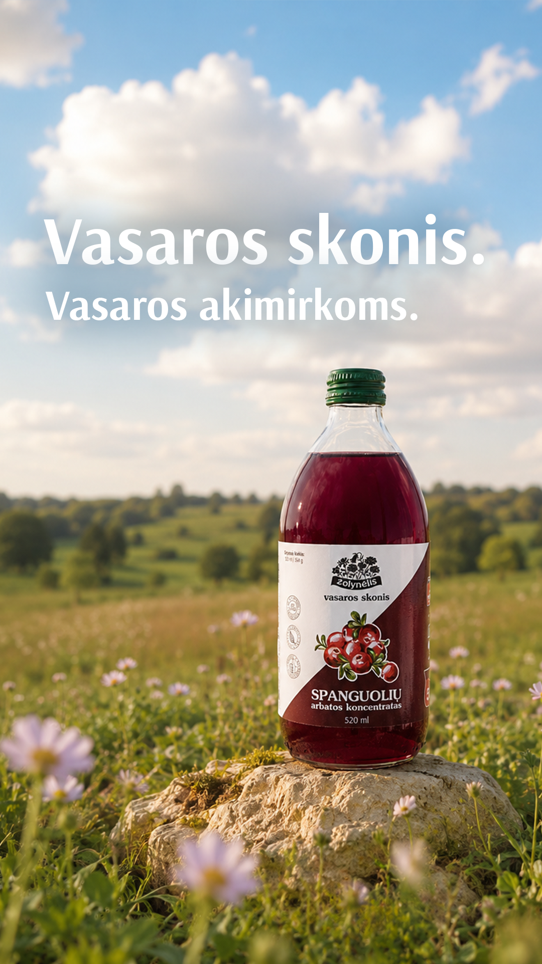 Žolynėlis Facebook ad
