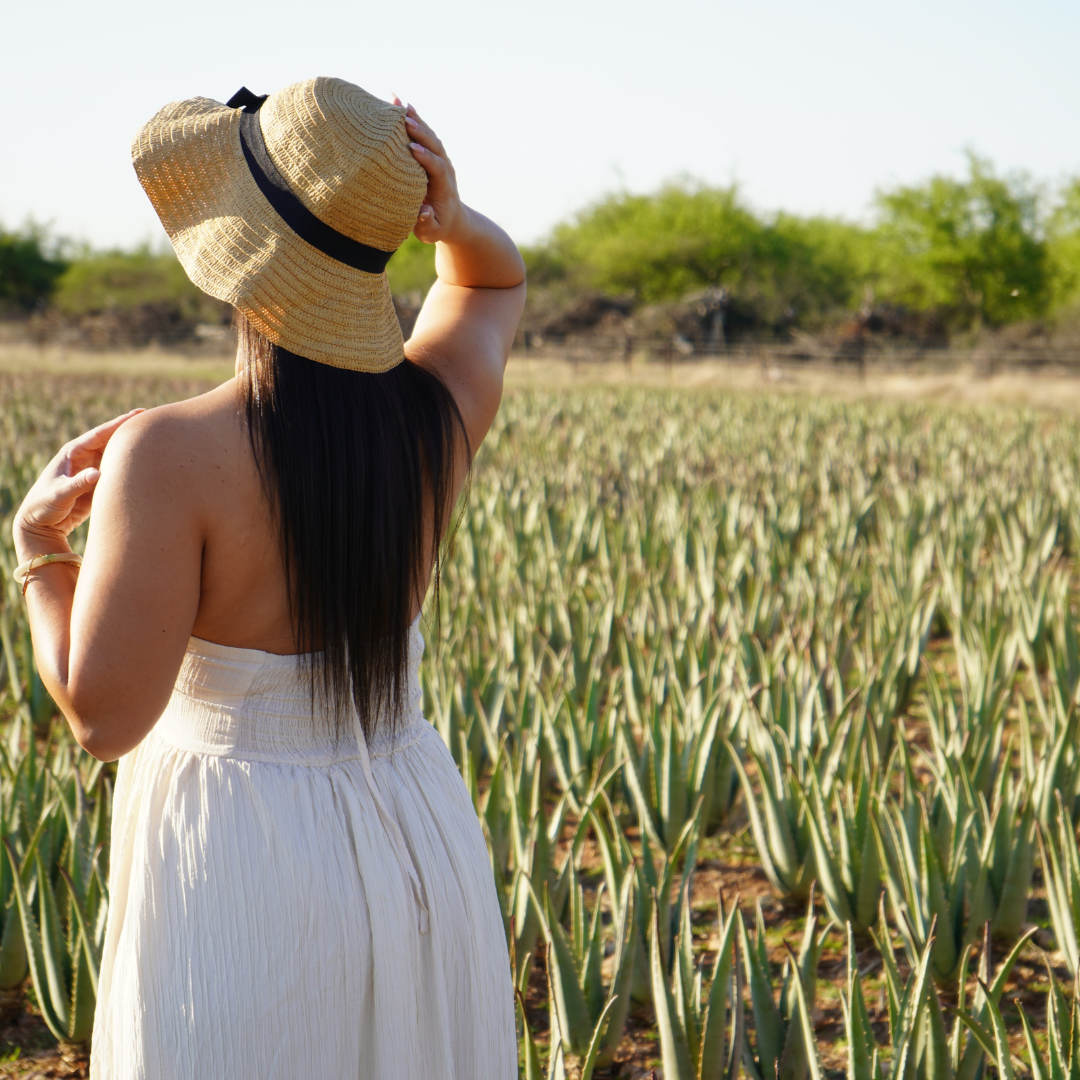 Curaloe Farm Facebook ad: Curacao's Aloe Vera Farm is not just a…