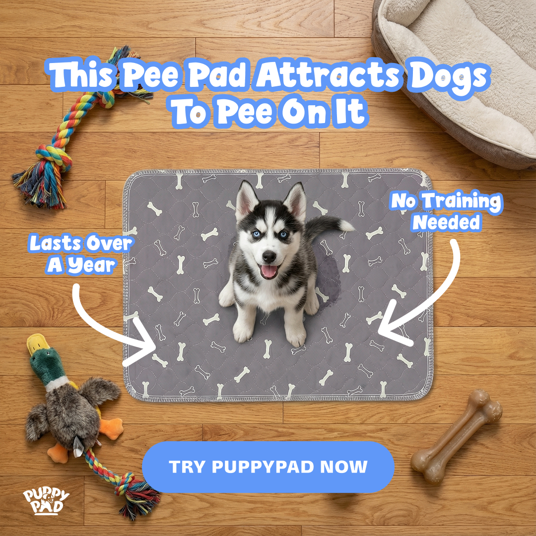 PuppyPad Facebook ad