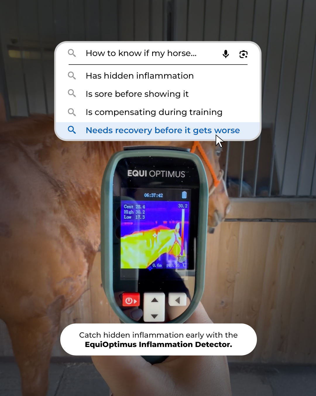 Chevaroo Facebook ad