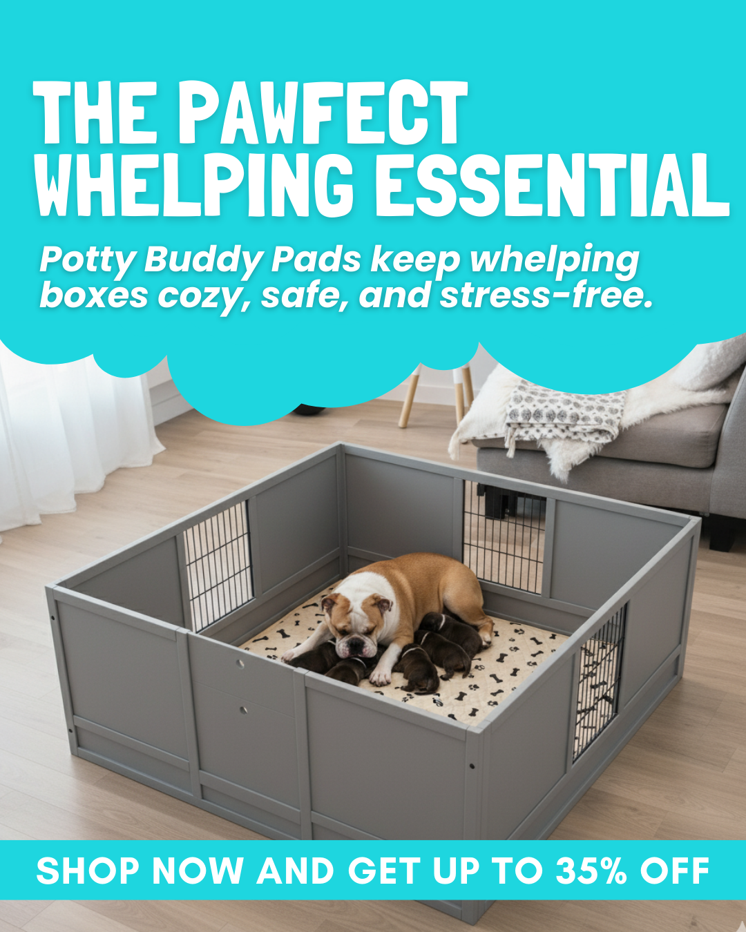 Potty Buddy Facebook ad