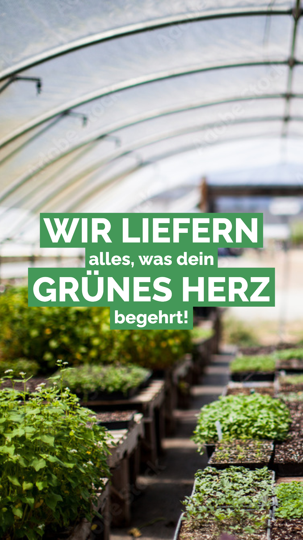 Pflanzmich.de Facebook ad