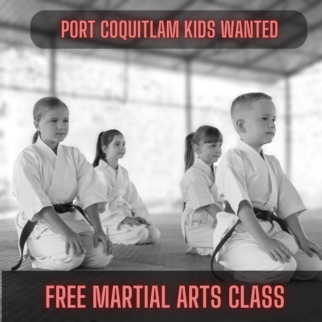 Personal Best Martial Arts Facebook ad: FREE DAY PASS