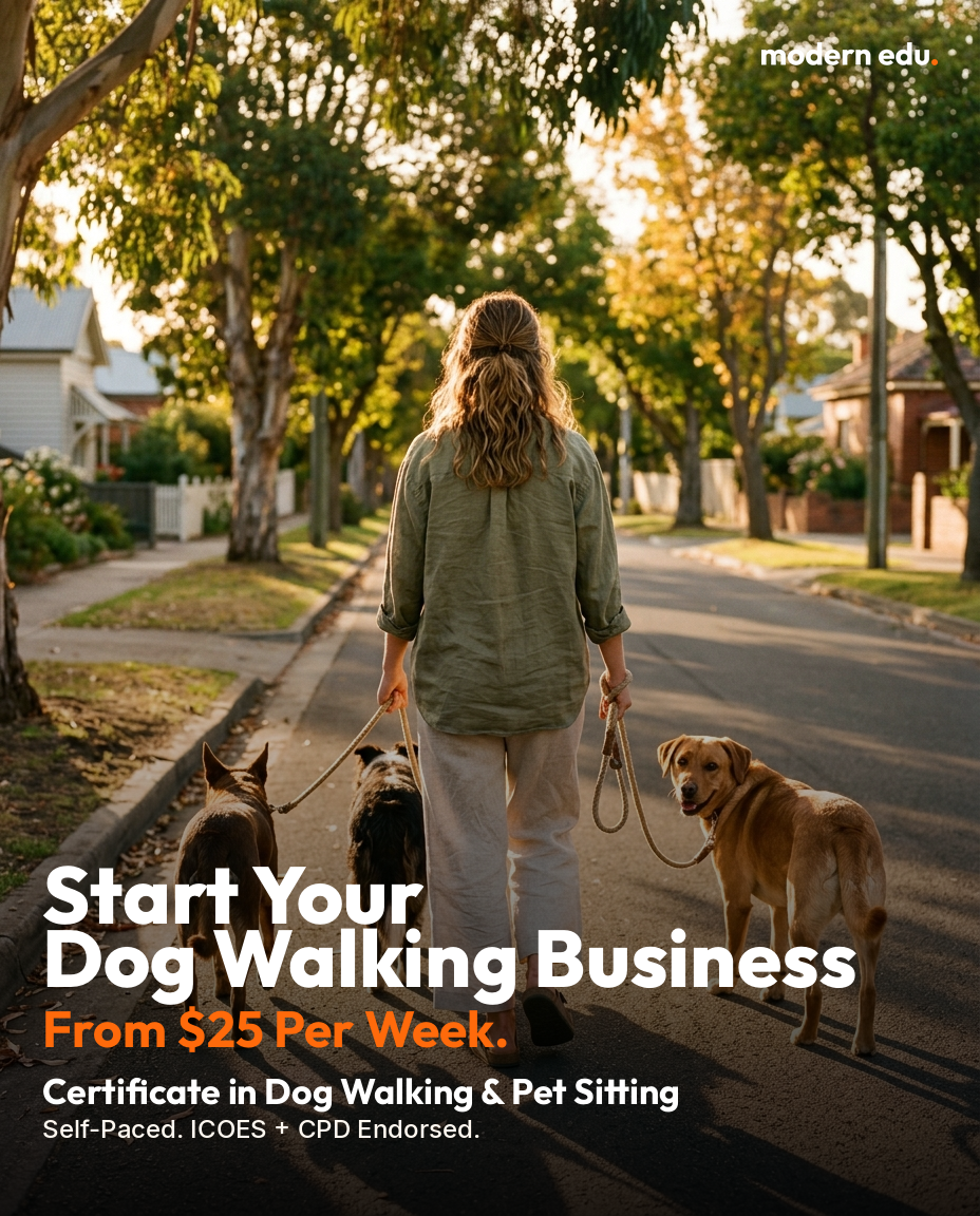 Modern Edu Australia Facebook ad