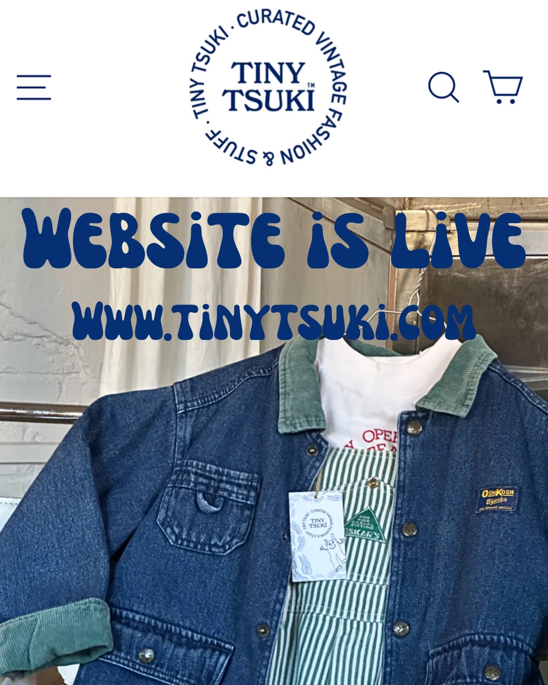 Tiny Tsuki Facebook ad: WE ARE LIVE ON WWW.TINYTSUKI.COM