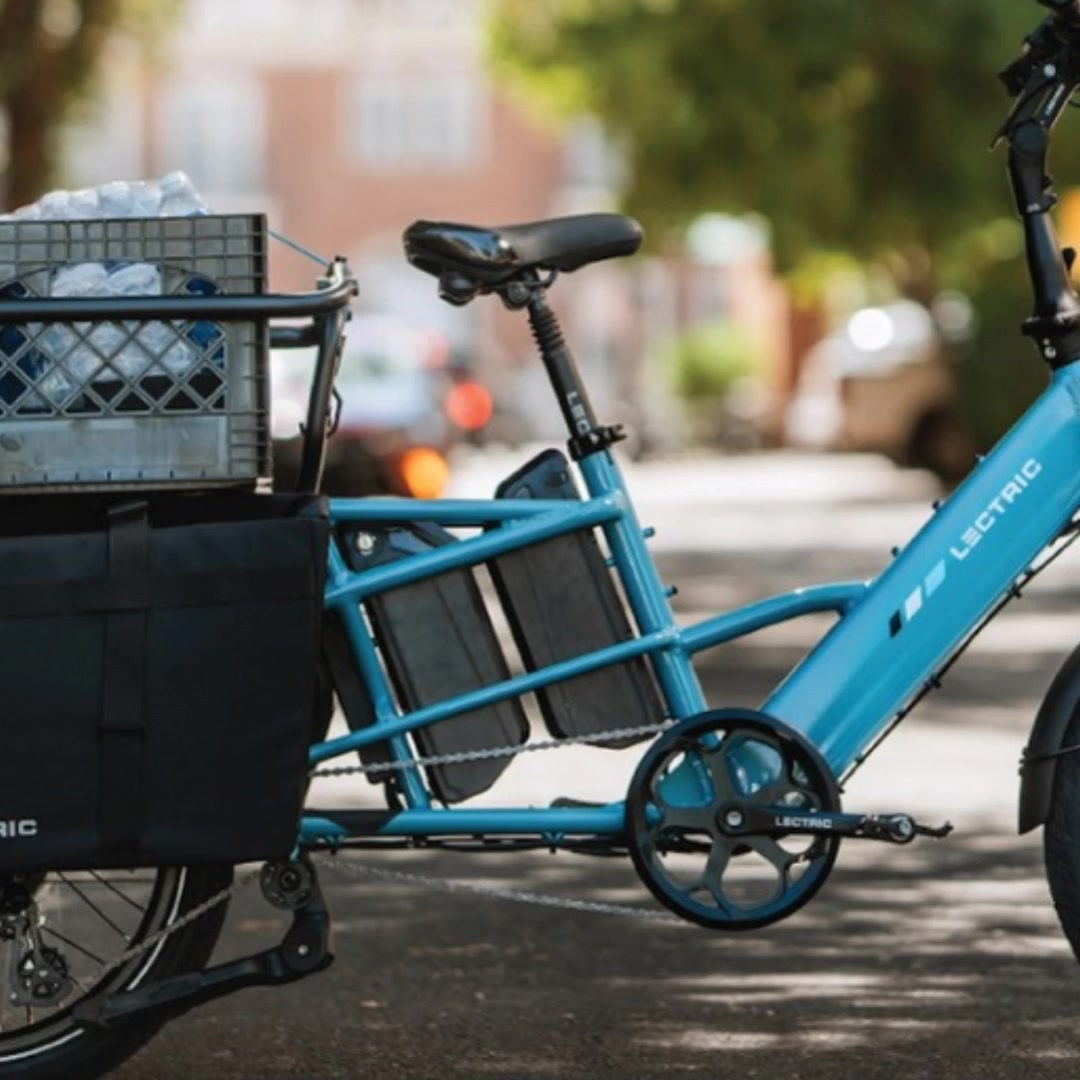 Lectric eBikes Facebook ad