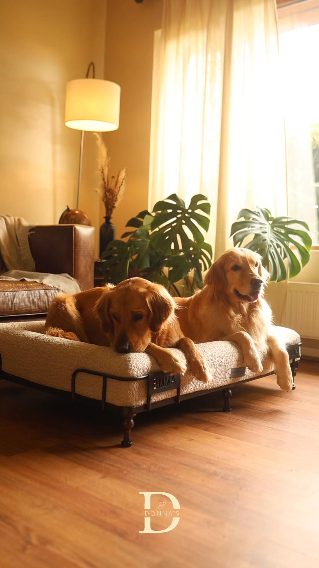 Donna's Pet Boutique Facebook ad: Cuida y protege sus articulaciones y su descanso con la…