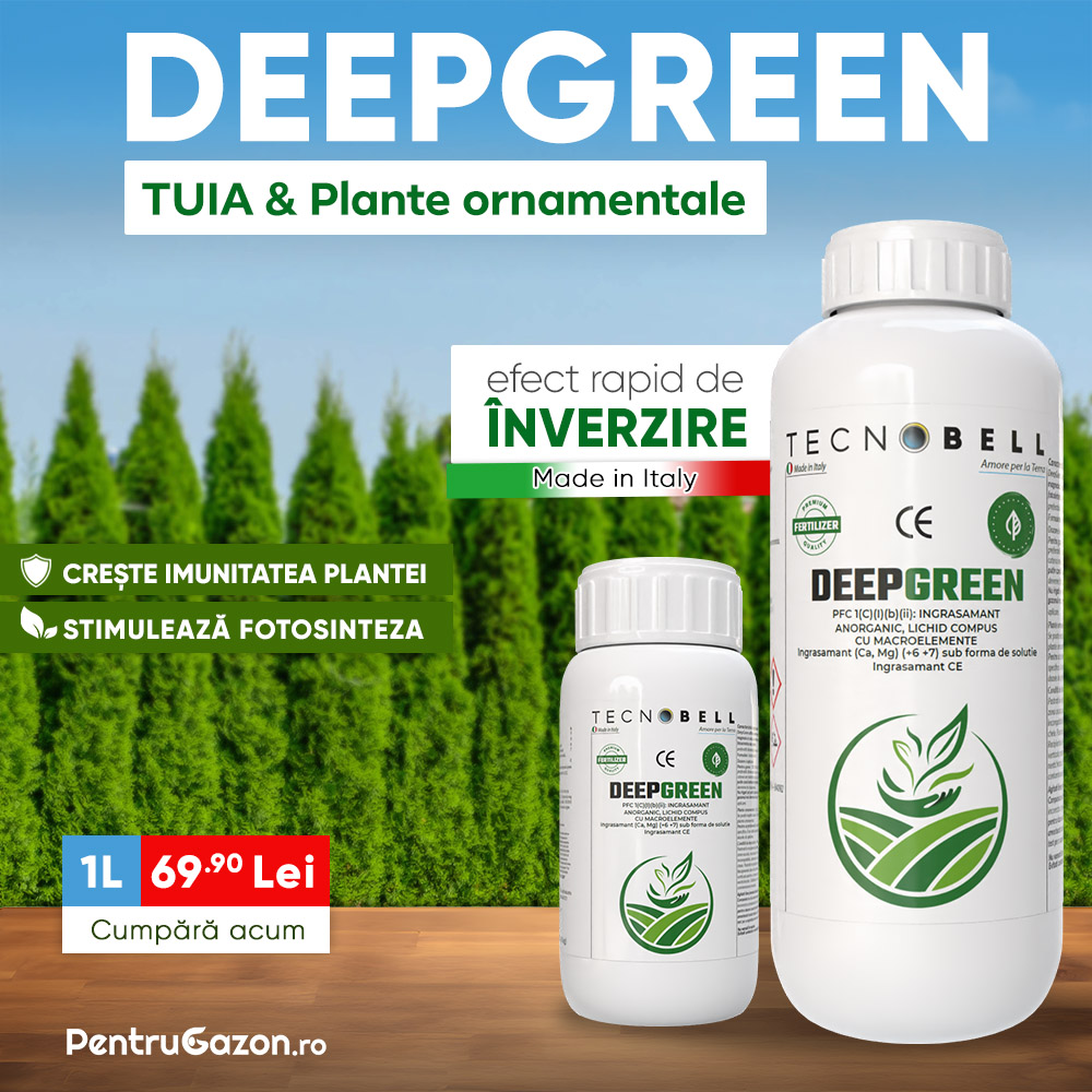 PentruGazon.ro Facebook ad