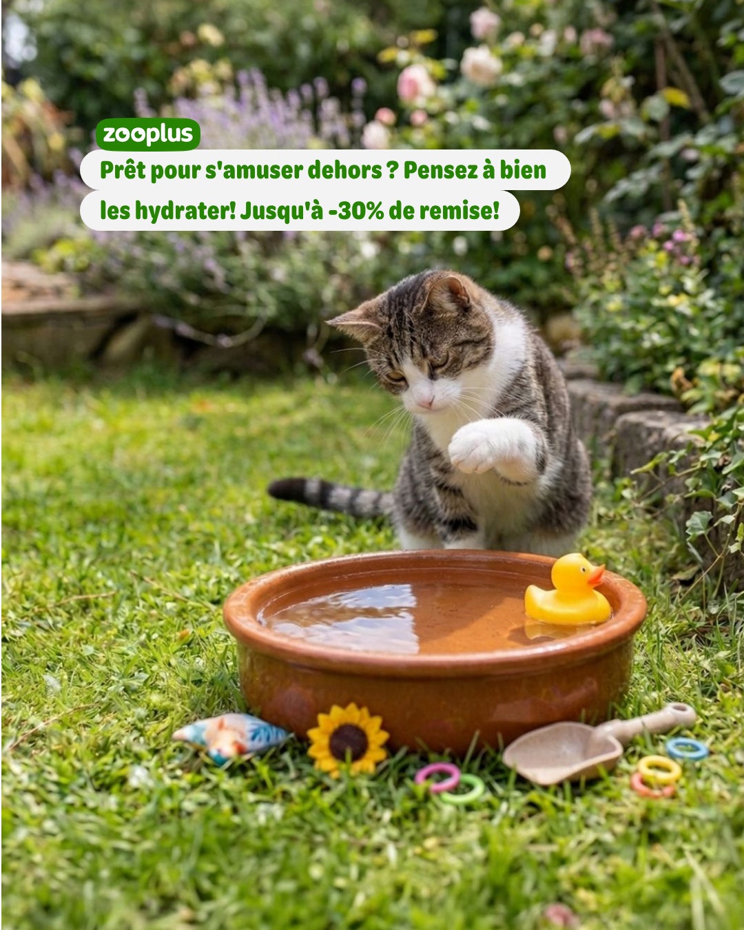 zooplus Facebook ad