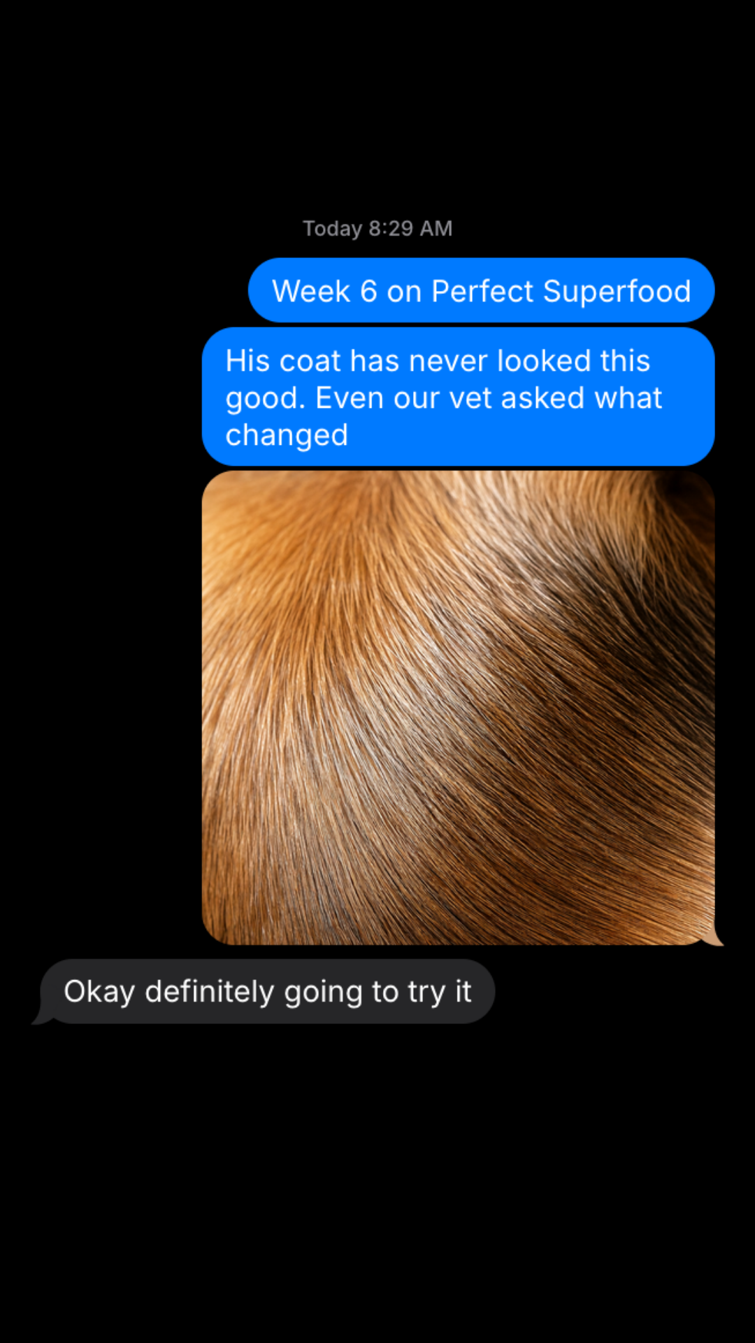 Yumwoof Facebook ad