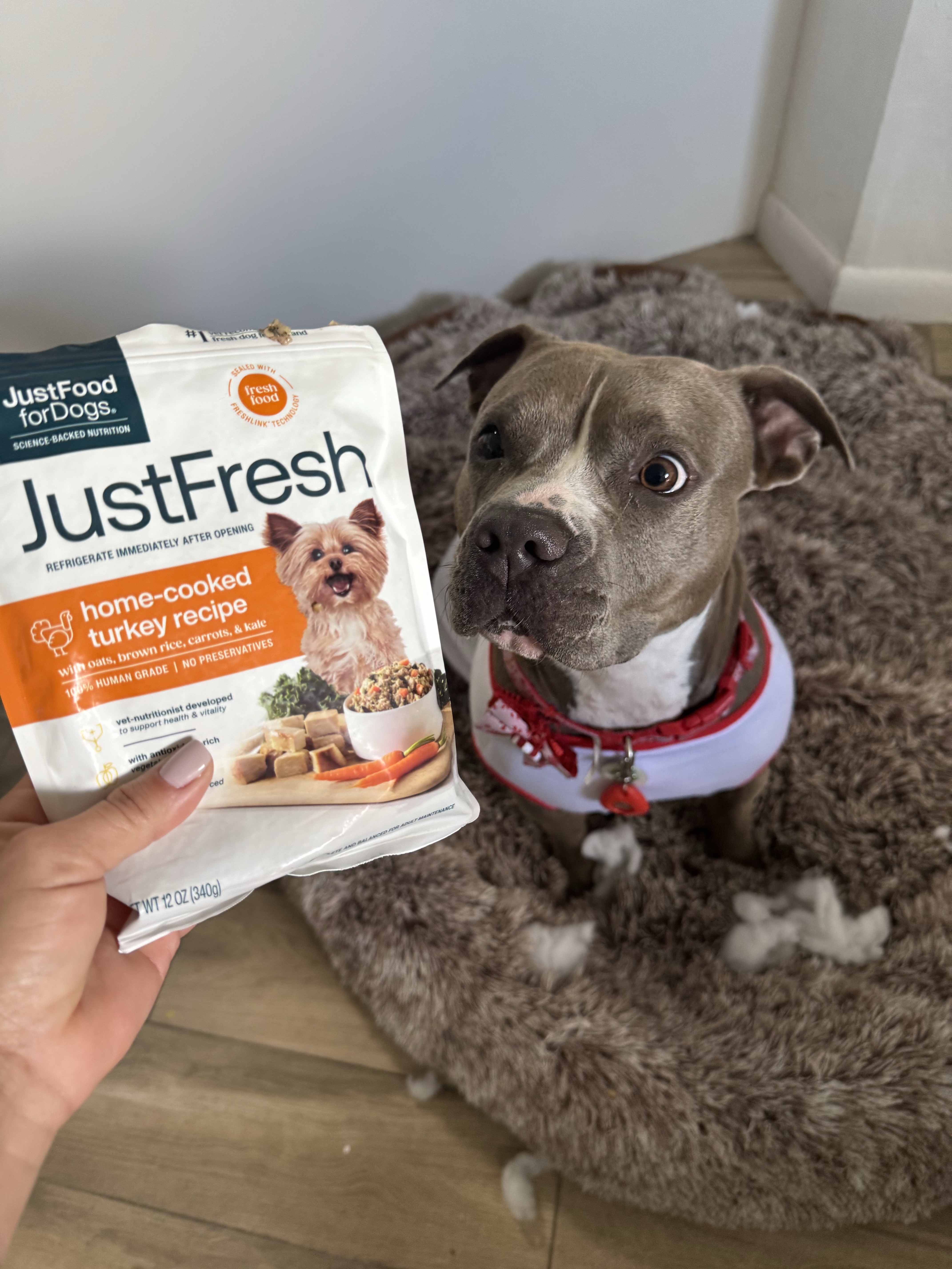 Just Food For Dogs Facebook ad