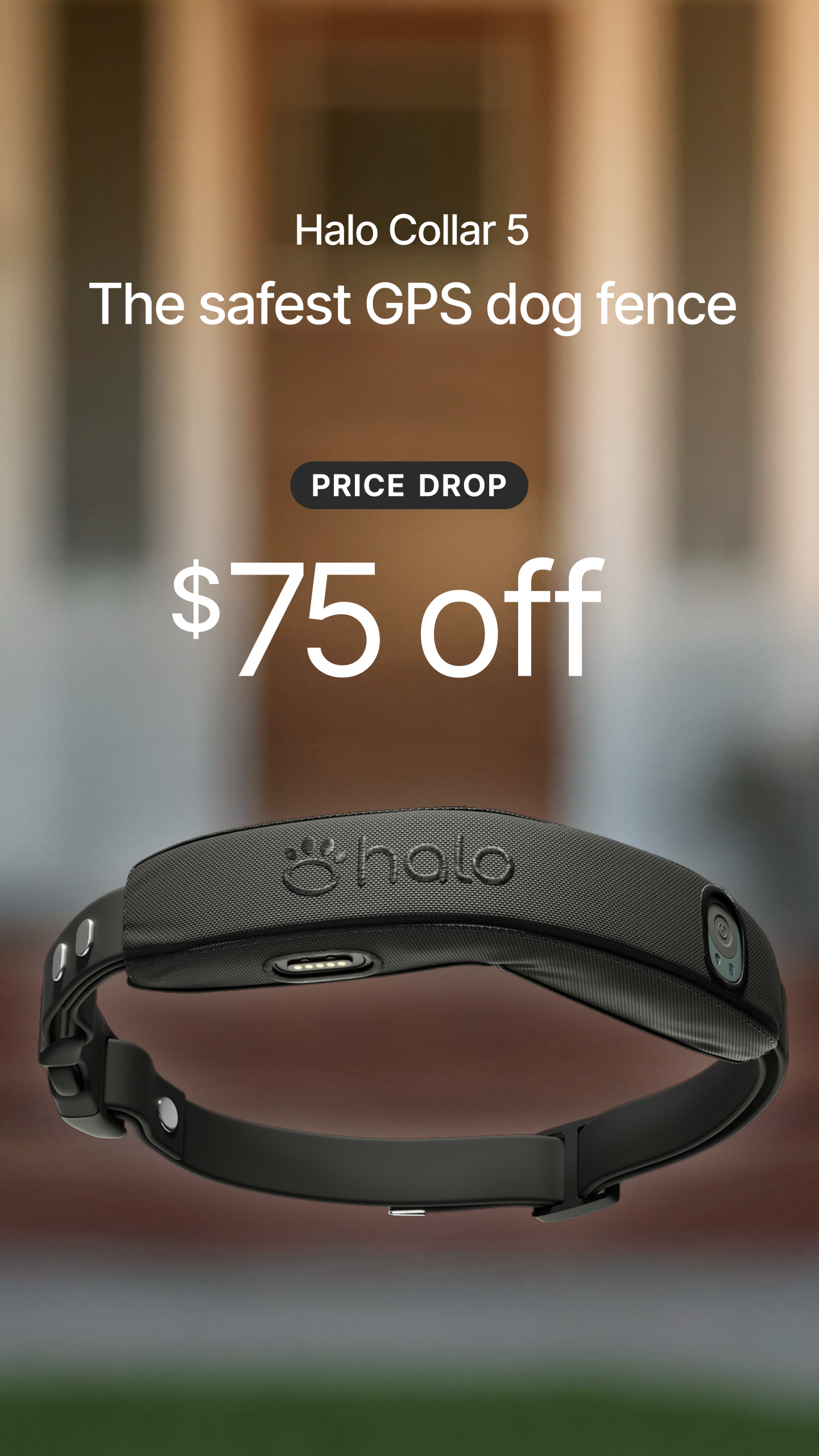 Halo Collar Facebook ad