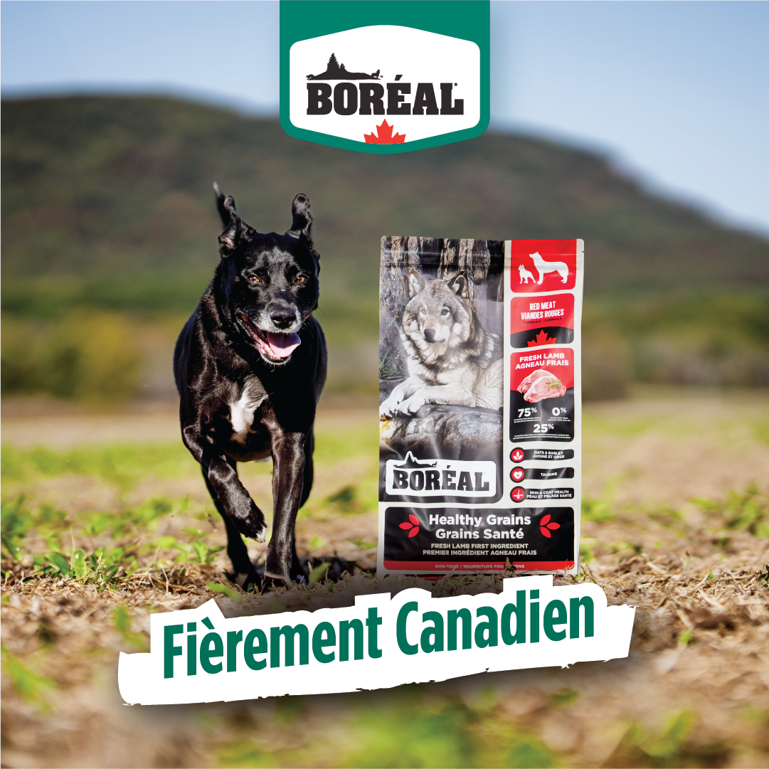Boréal Pet Food Facebook ad