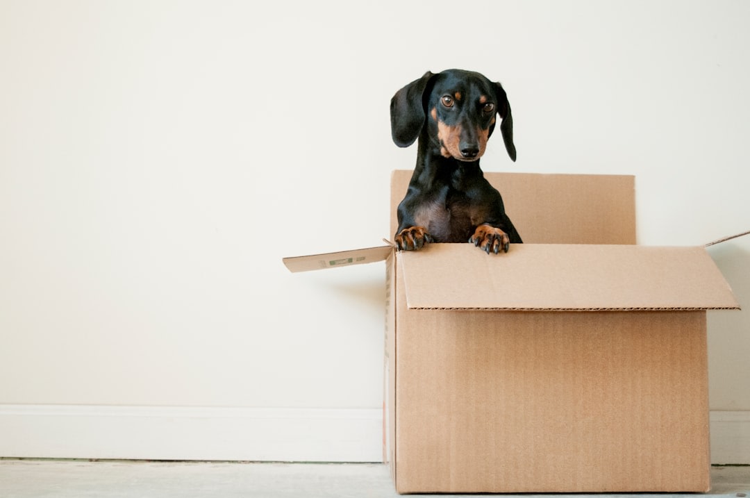 Citrus Relocation & Lifestyle Facebook ad: Relocation support you can trust Citrus Relocation |…
