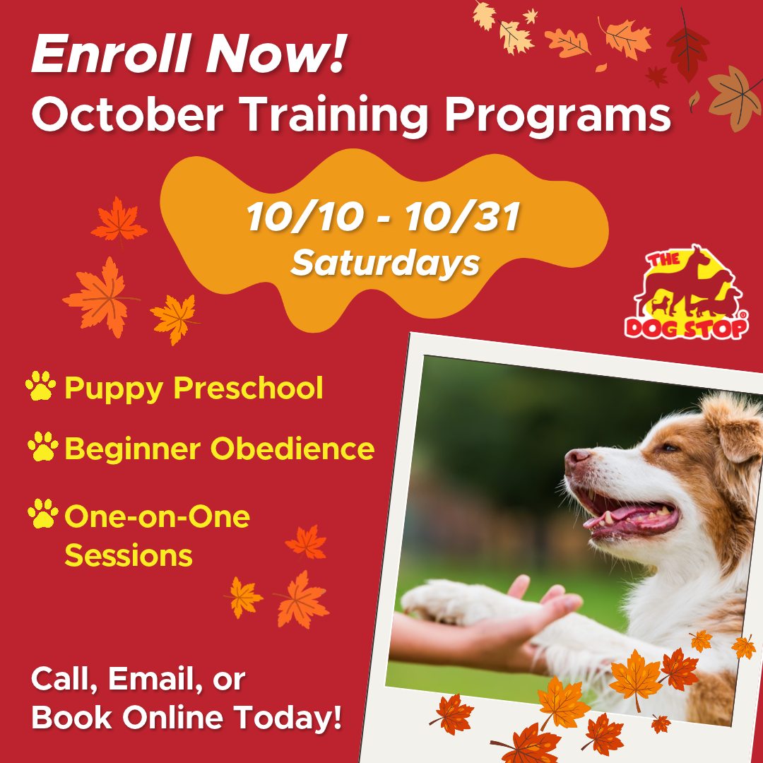 The Dog Stop - Sherwood, OR Facebook ad: All-Inclusive Pet Care | Dog Daycare, Boarding, & Grooming