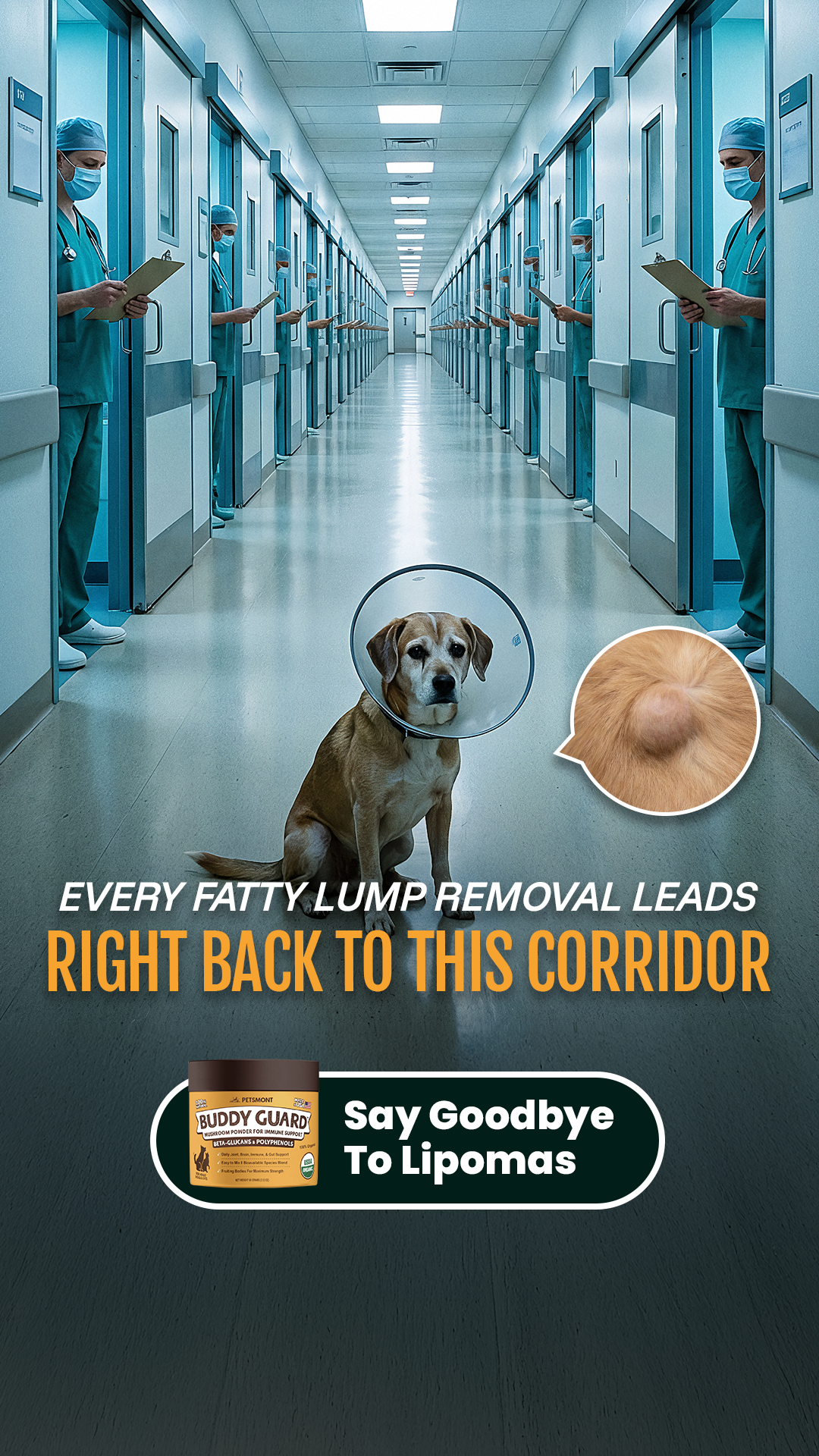 Petsmont Facebook ad