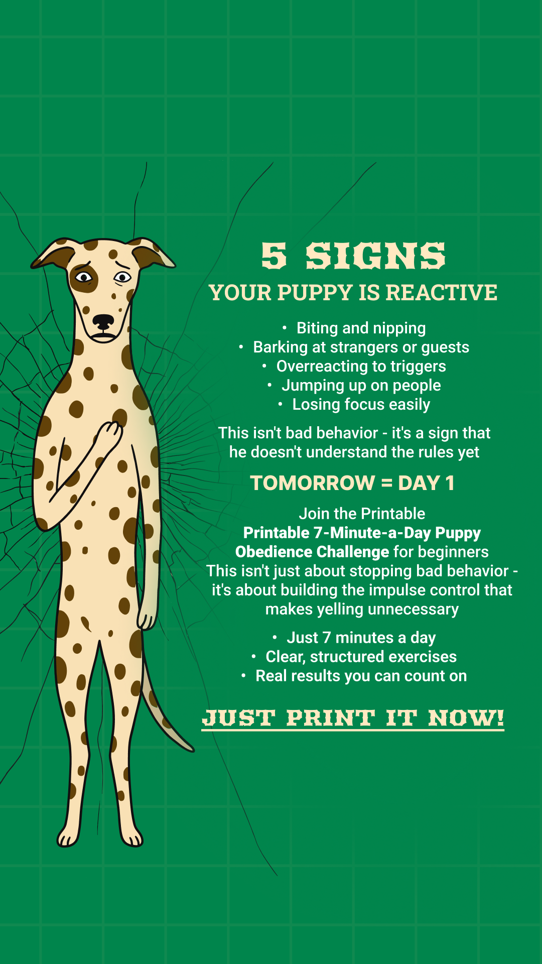 Dog Training & Tips Facebook ad