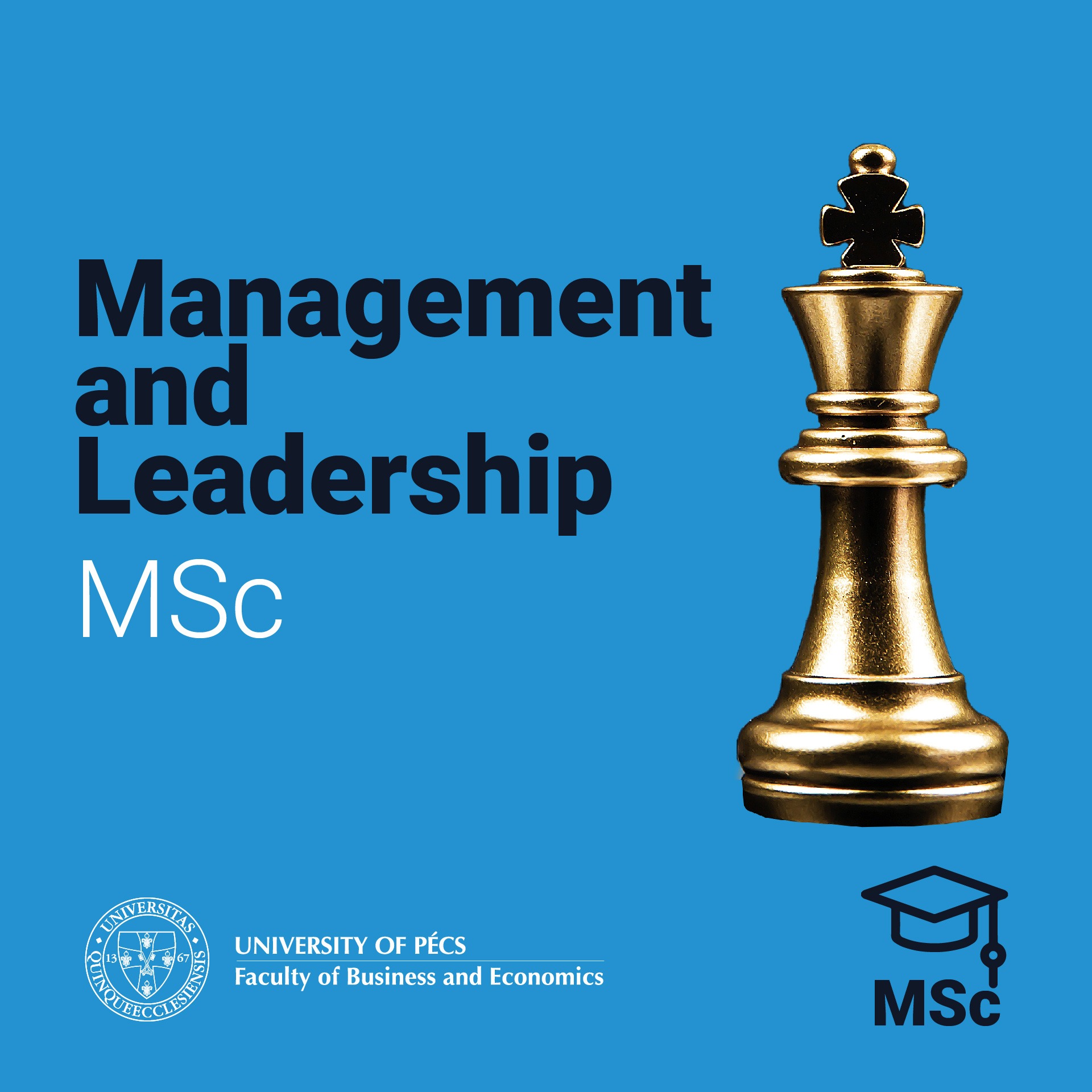University of Pécs, Faculty of Business and Economics Facebook ad: Study business in Pécs, Hungary