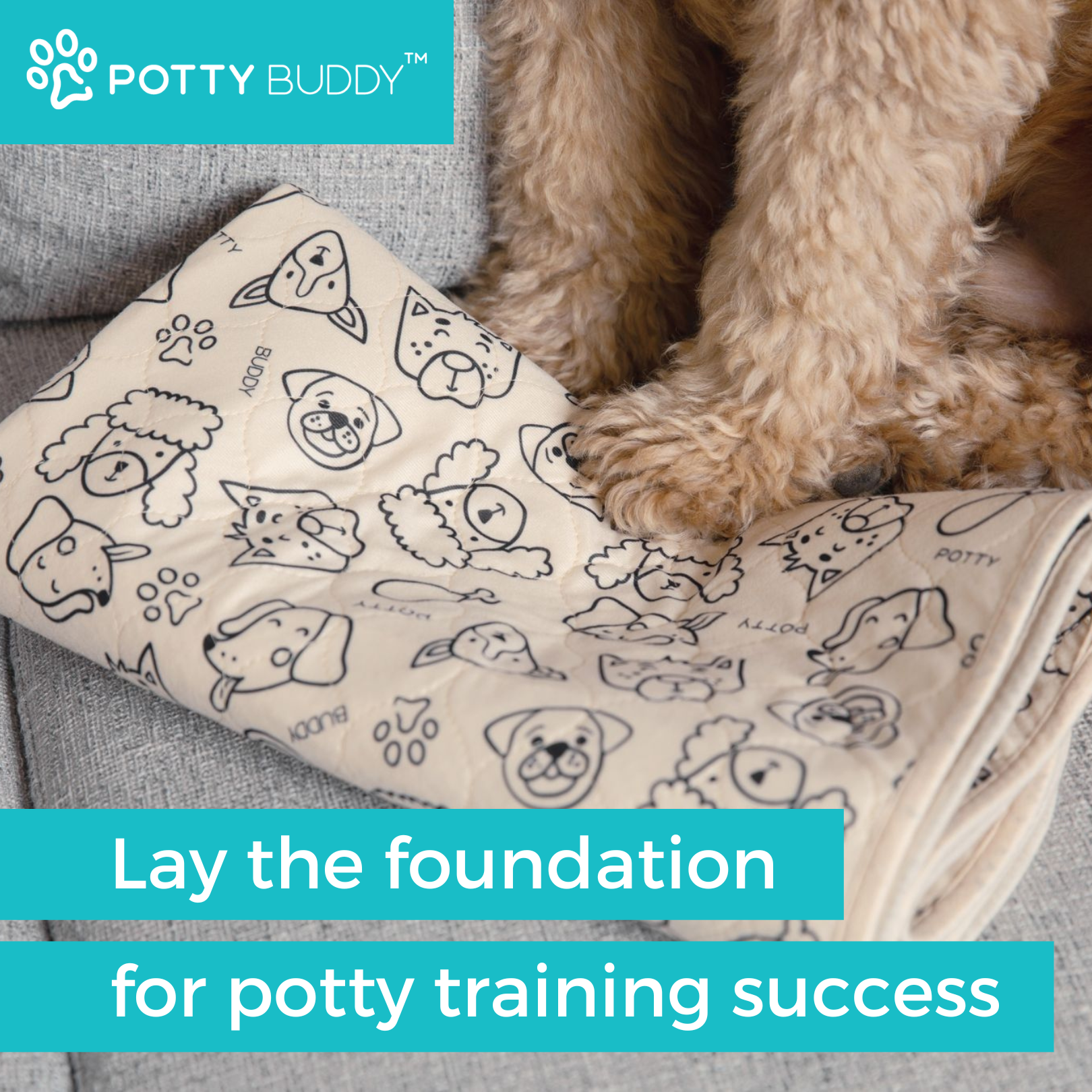 Potty Buddy Facebook ad