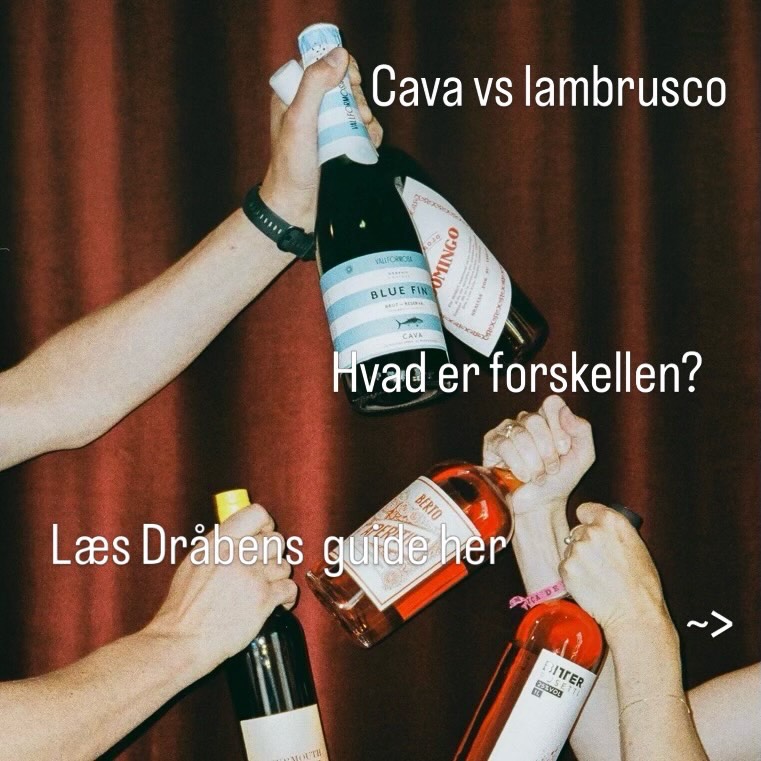 densidstedraabe Facebook ad: Cava vs Lambrusco - Dråbens guide
