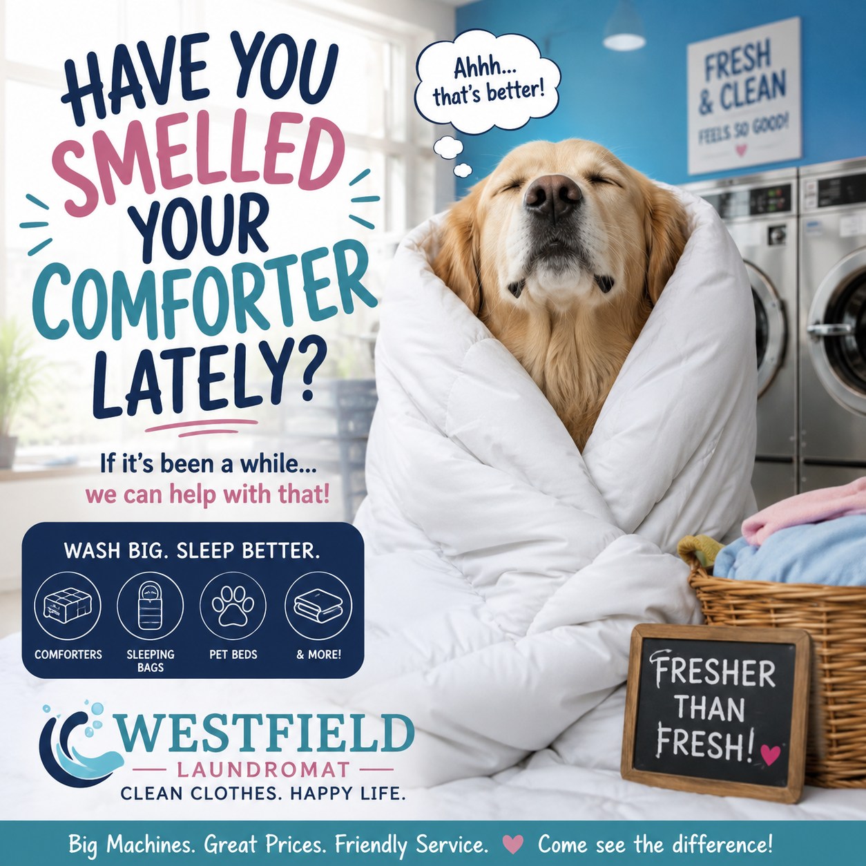 Westfield Laundromat Facebook ad