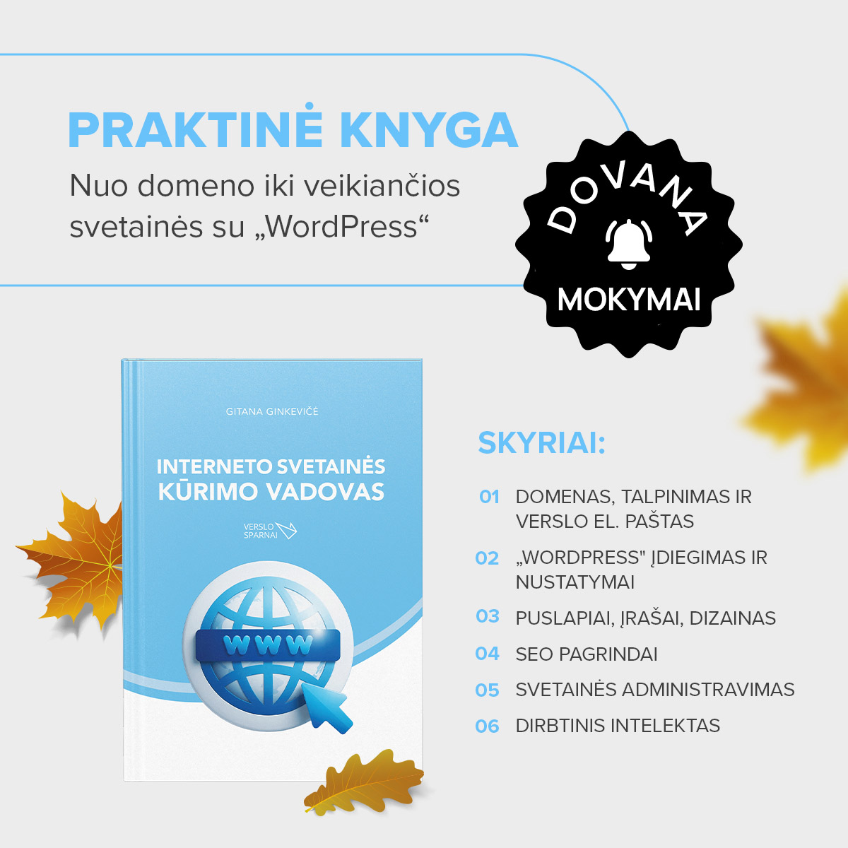 Verslo sparnai Facebook ad: Knyga + mokymai = vos 19,99 eur