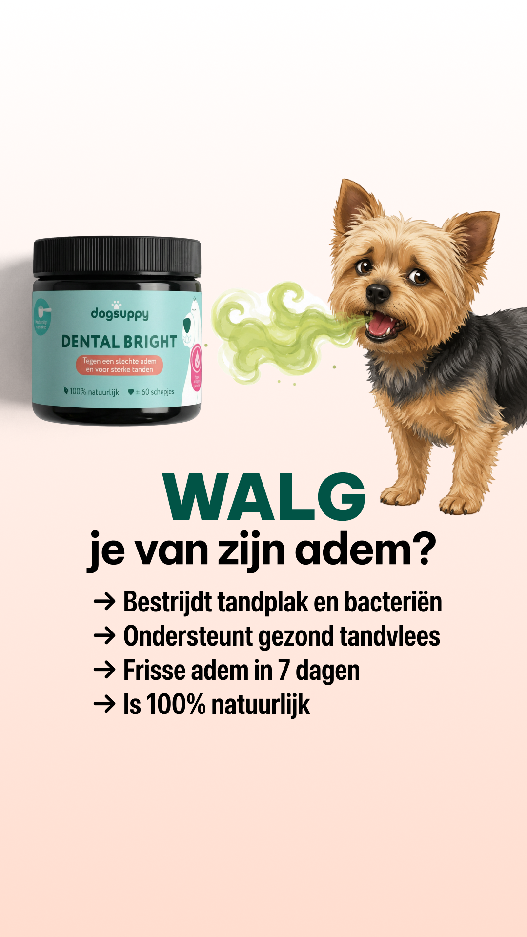 DogSuppy Facebook ad