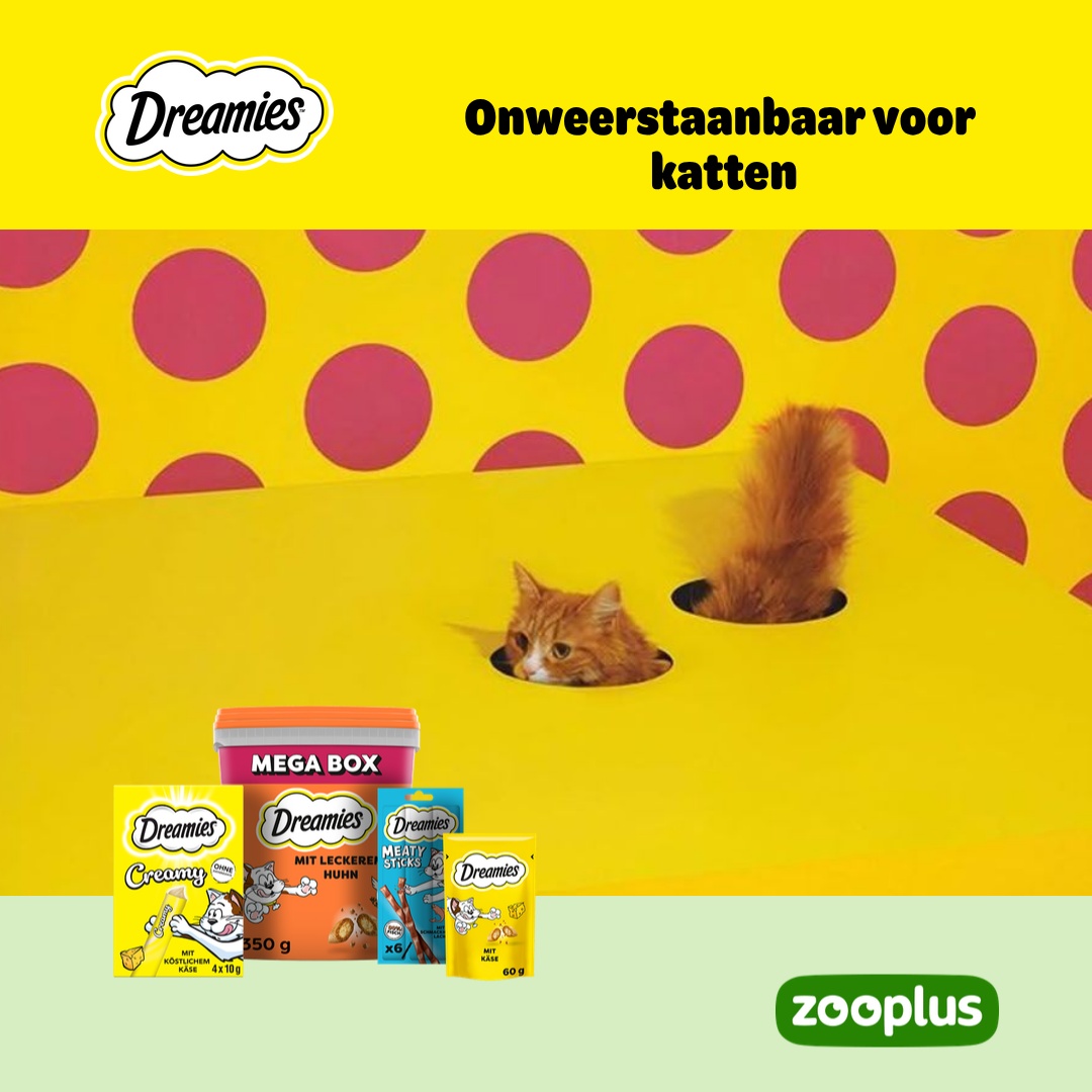 zooplus Facebook ad: DREAMIES