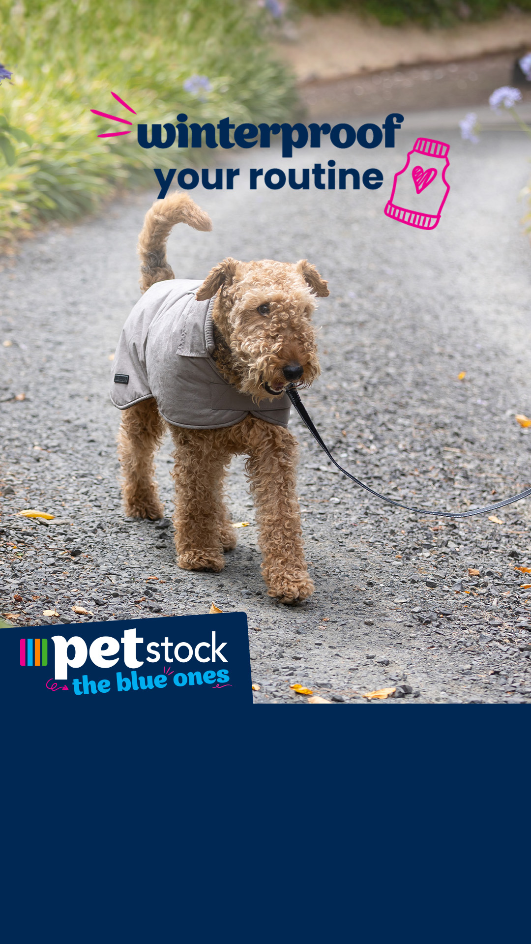 Petstock Facebook ad