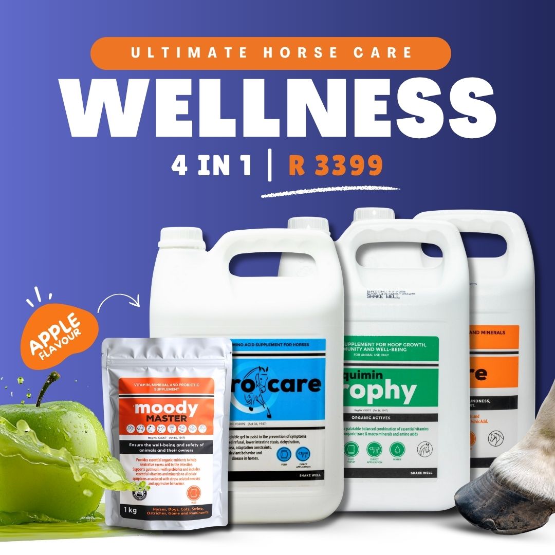 Camelus Facebook ad
